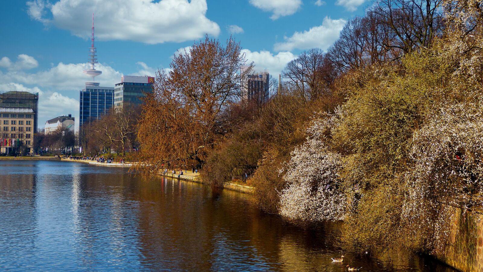 Panasonic Lumix DMC-FZ150 sample photo. Hamburg, alster, binnenalster photography