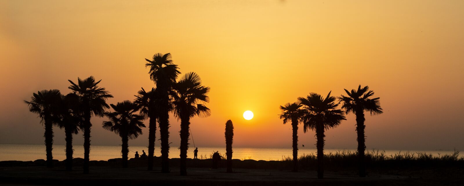 Canon EOS 700D (EOS Rebel T5i / EOS Kiss X7i) + Canon EF 50mm F1.8 II sample photo. Sunset, sun, landscape photography