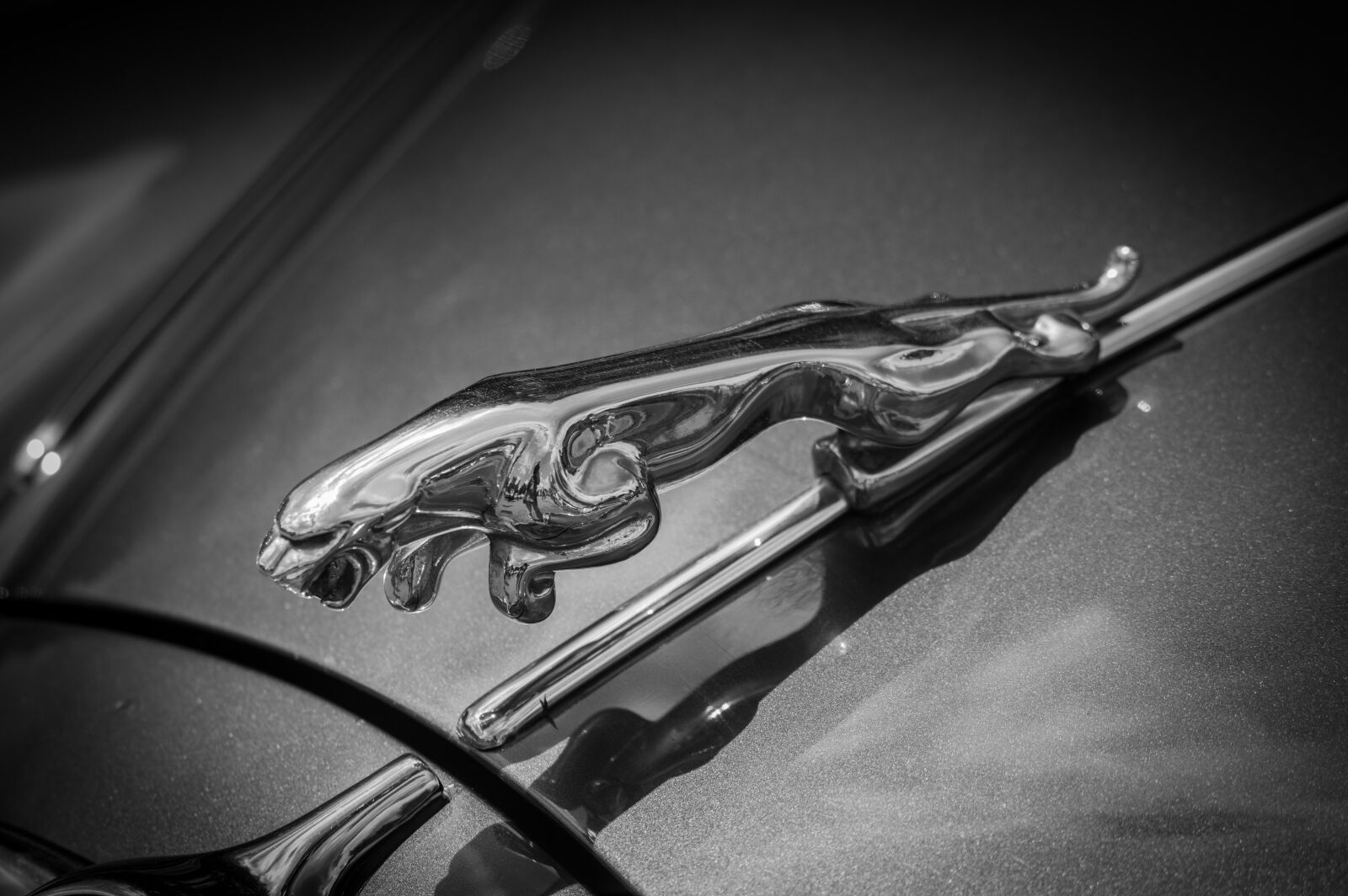 Pentax K-3 sample photo. Jaguar, figure, classic photography