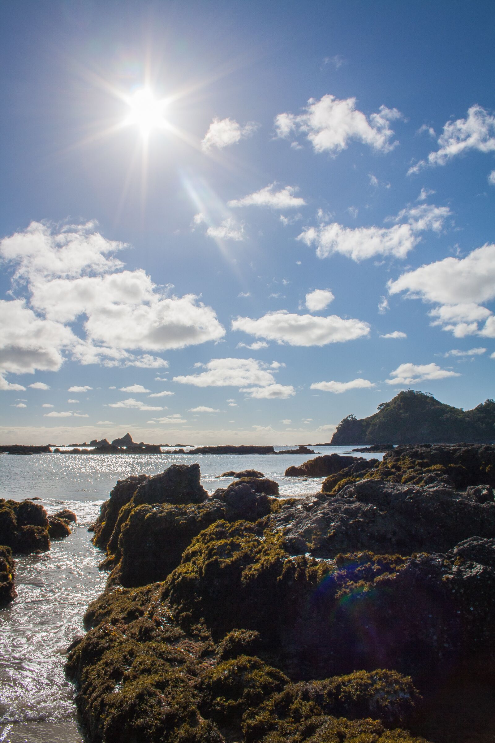 Canon EF-S 18-55mm F3.5-5.6 II sample photo. New zealand, pacific, beach photography