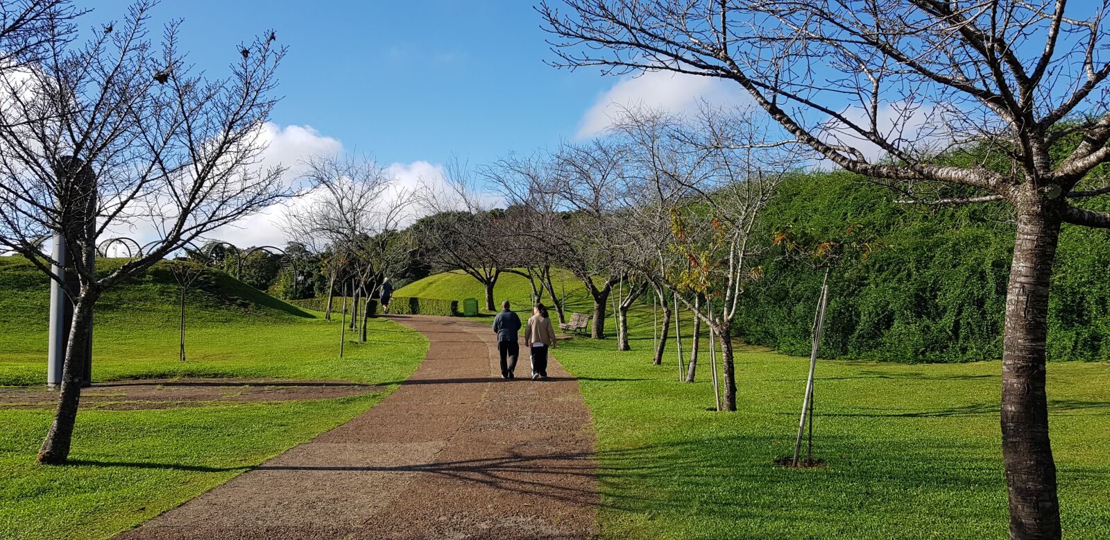 Samsung Galaxy S8+ sample photo. Curitiba, parana, brazil photography