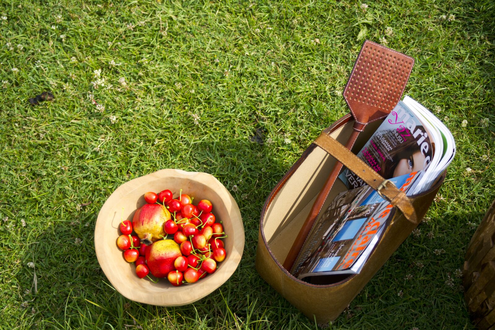 Sony Alpha DSLR-A850 sample photo. Garden, basket, fruit photography