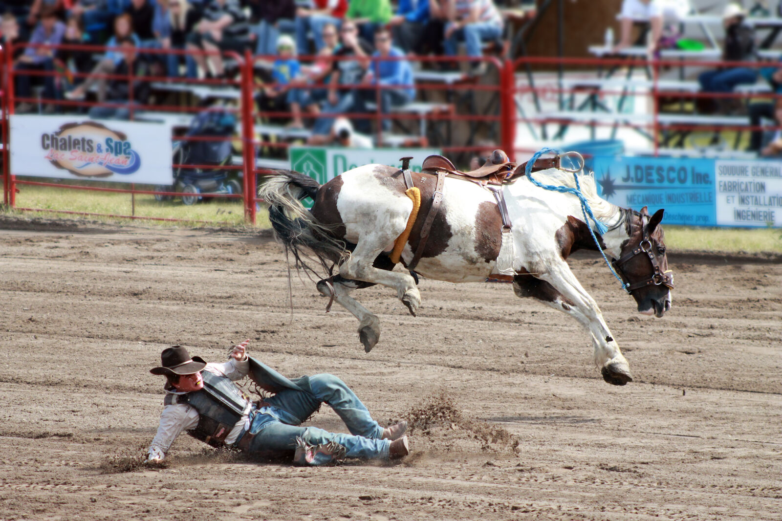 Canon EOS 1100D (EOS Rebel T3 / EOS Kiss X50) sample photo. Cowboy, horse, rodeo photography