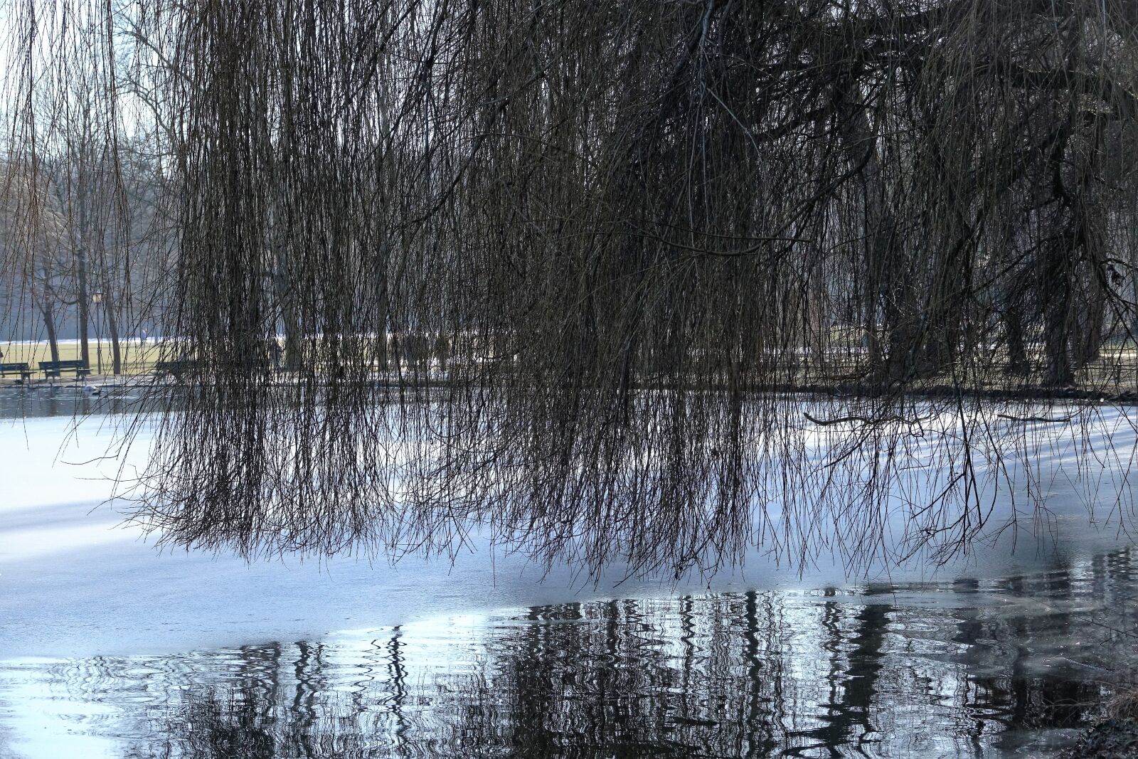 Sony Cyber-shot DSC-RX10 III sample photo. Munich, park, lake photography