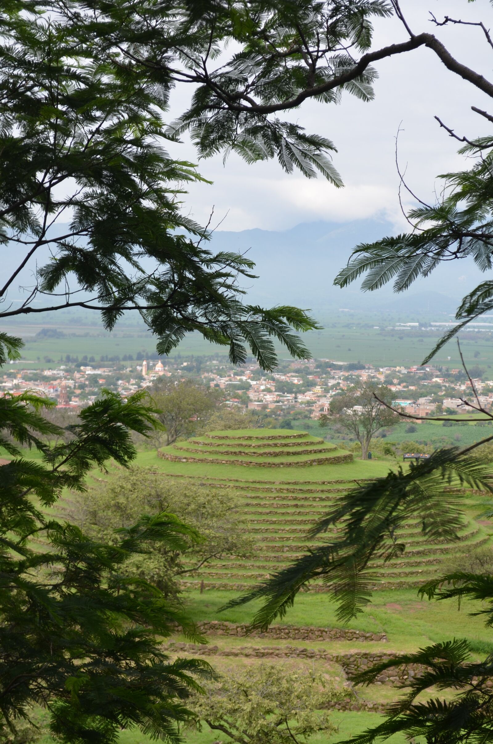 Nikon D5100 sample photo. Nature, tree, landscape photography