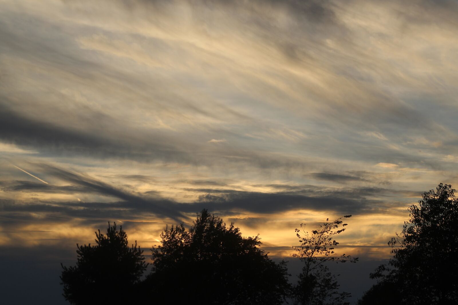 Canon EF 50mm F1.8 STM sample photo. Sunset, pink, yellow photography