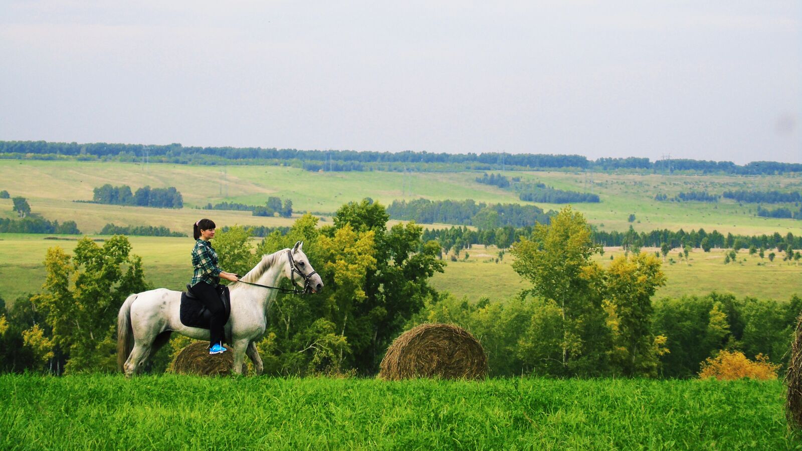 Sony Cyber-shot DSC-H400 sample photo. Russia, siberia, horse photography