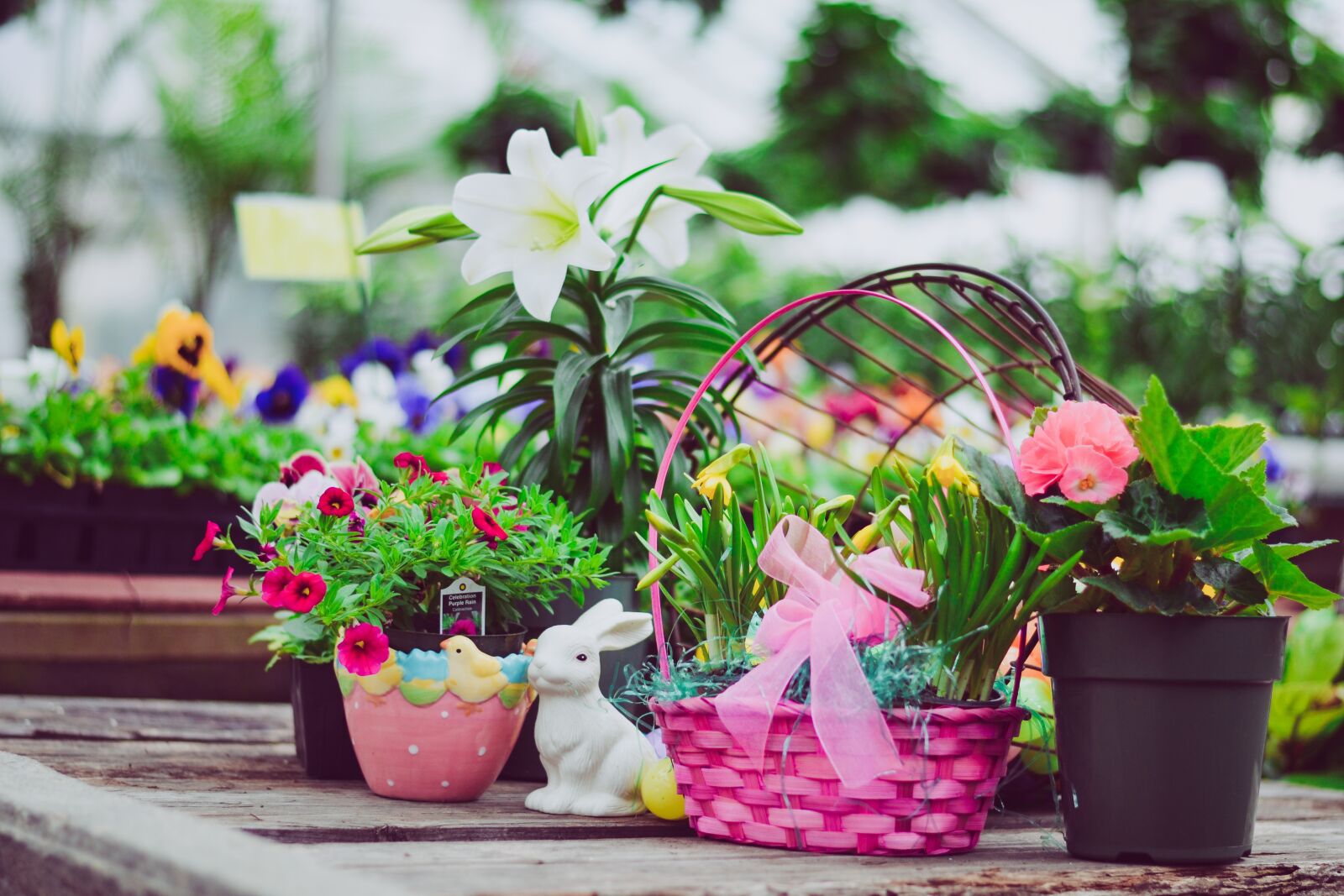 Nikon D3100 sample photo. Easter, easter rabbit, easter photography