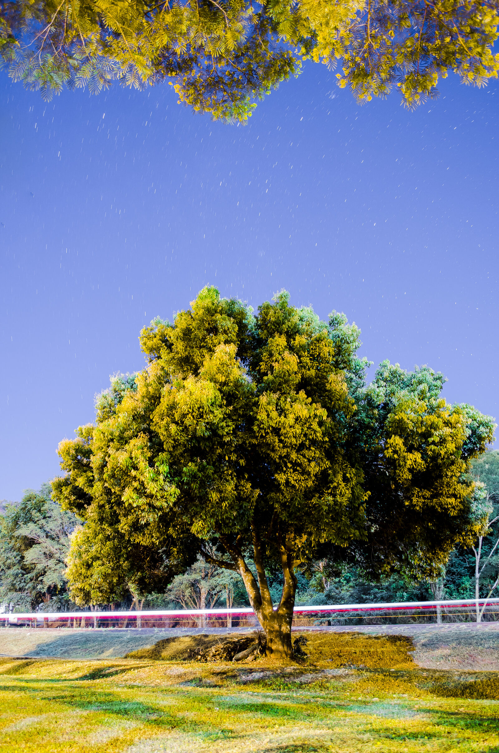 Nikon D5100 sample photo