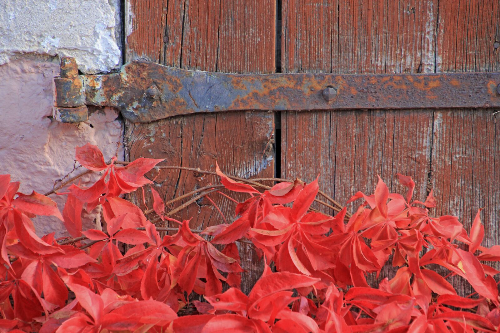 Canon EOS 60D sample photo. Old, door, goal photography