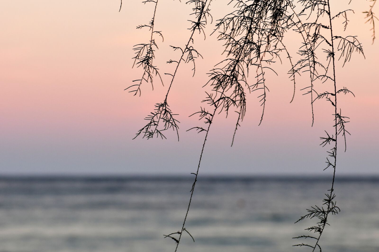 Nikon D5500 sample photo. Beach, sea, surf photography