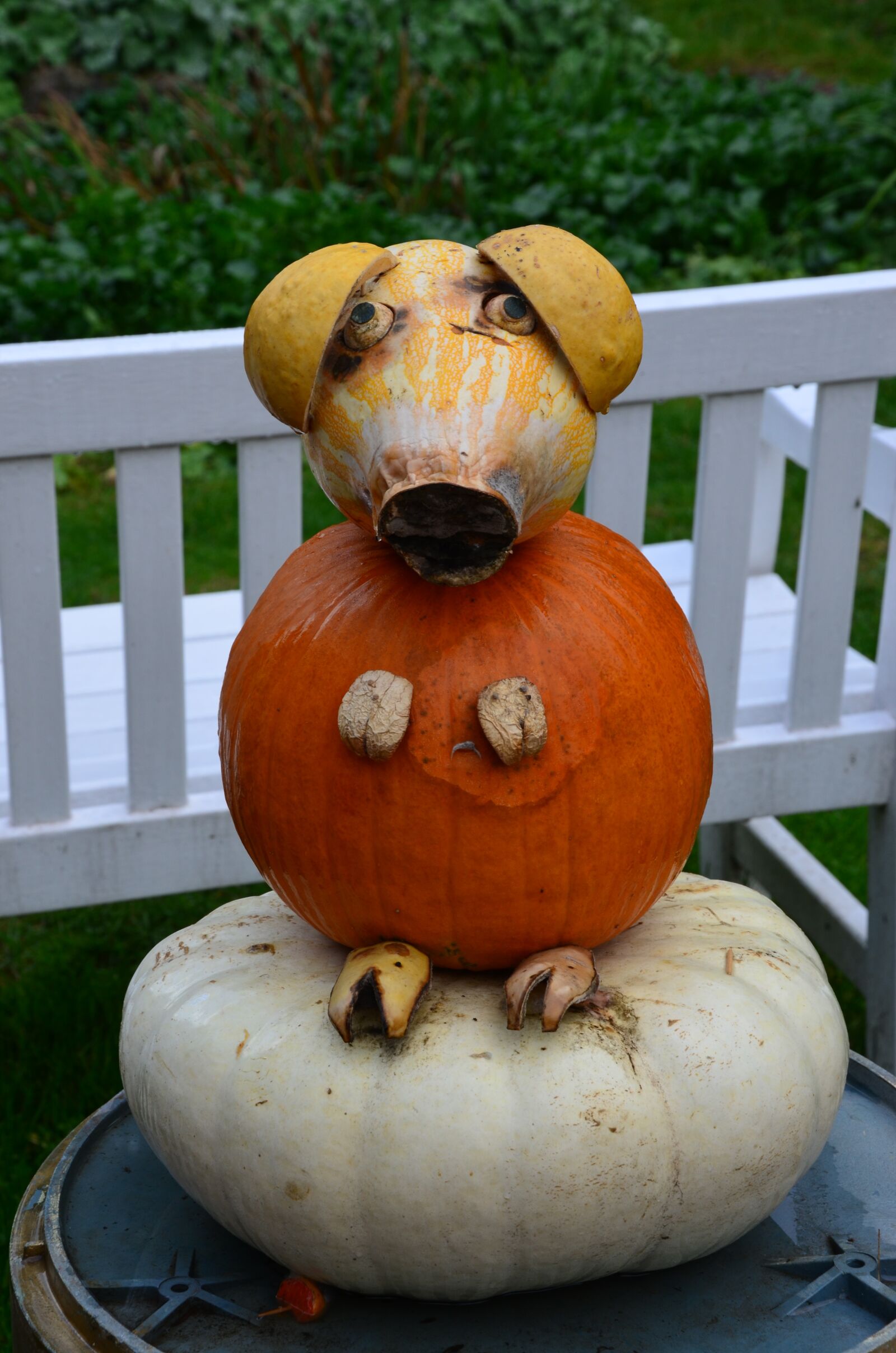 Nikon D5100 sample photo. Pumpkin, pig, figure photography