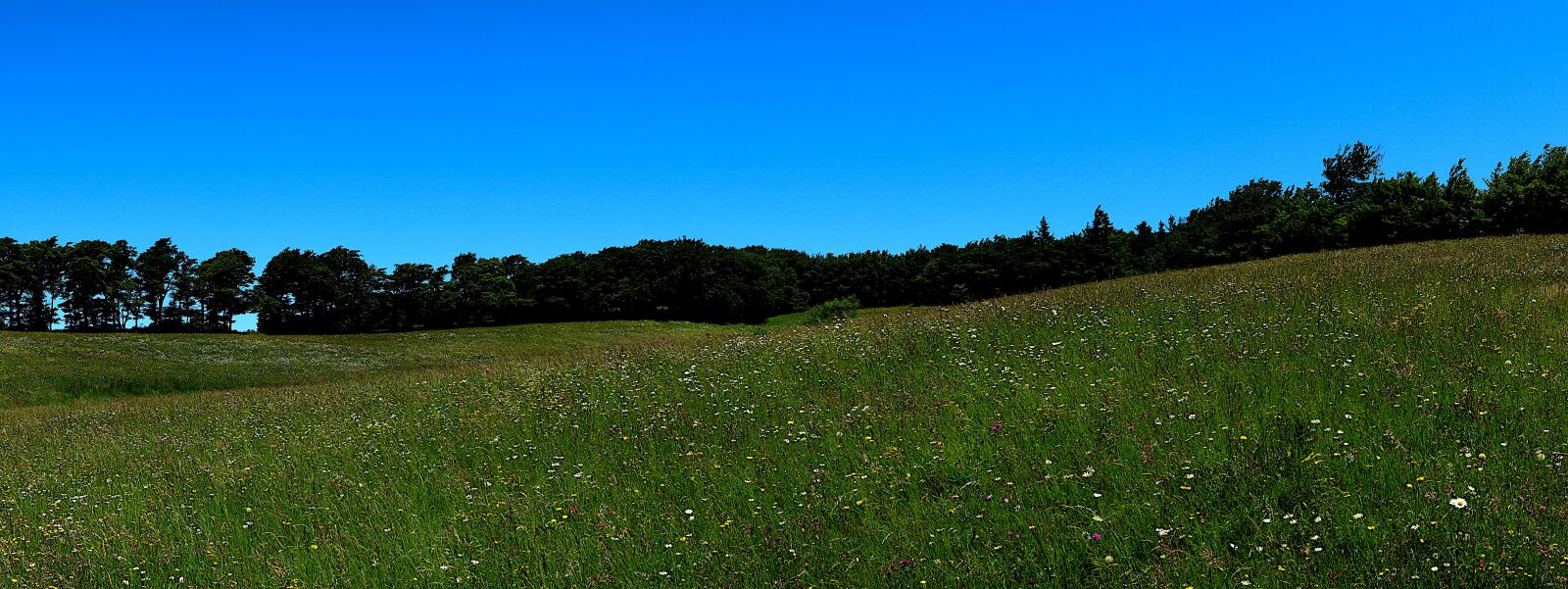 Canon PowerShot G1 X Mark III sample photo. Nature, landscape, prairie photography