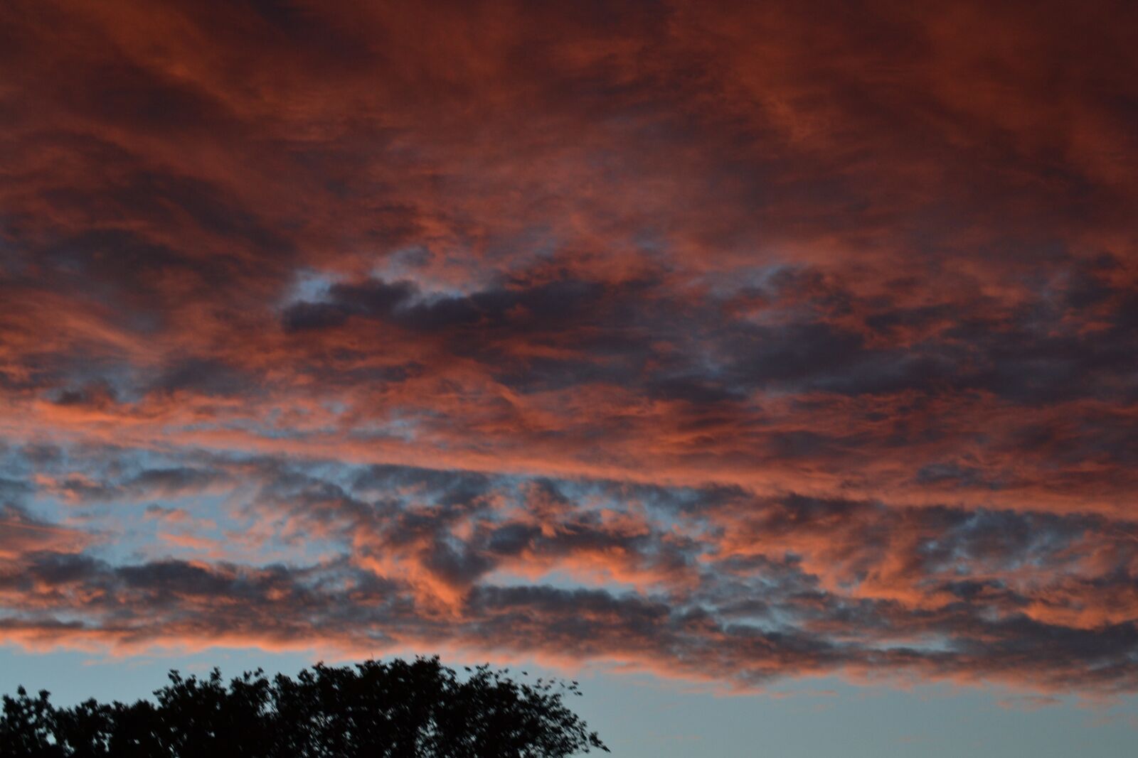 Nikon D3100 sample photo. G tterd mmerung, sky photography