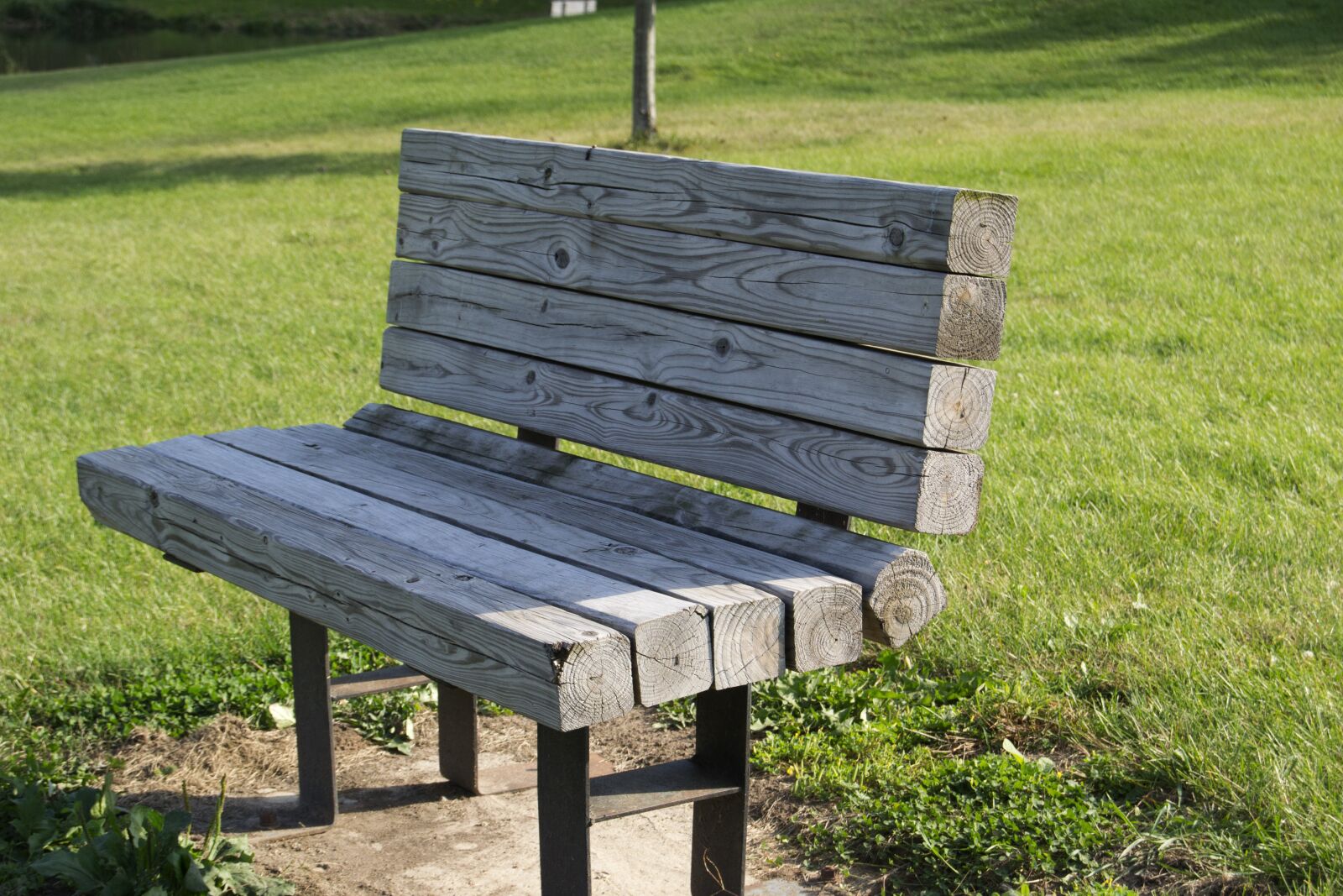 Nikon D3100 sample photo. Park bench, park, bench photography