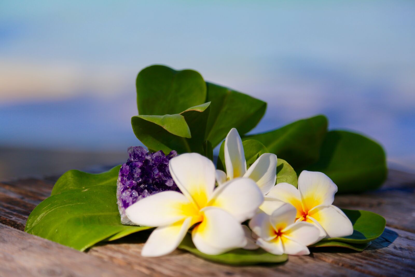 Canon EOS 6D + Canon EF 24-105mm F4L IS USM sample photo. Plumeria, gemstone, beach photography
