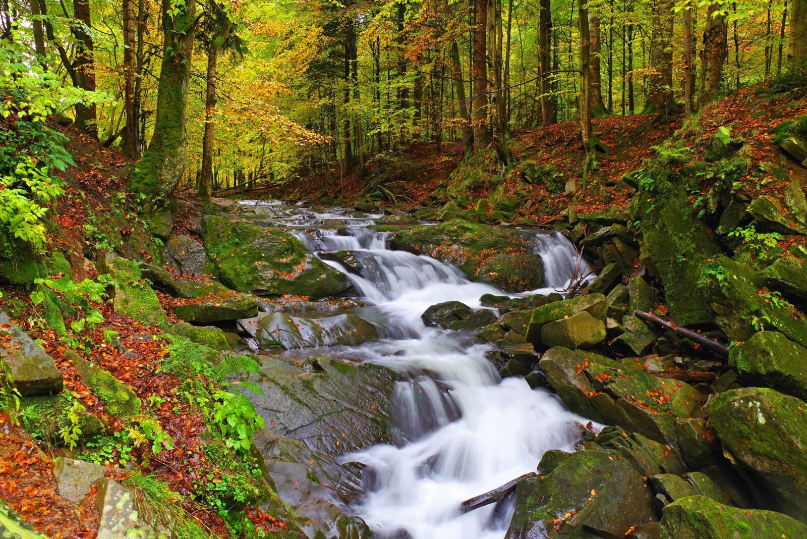 Pentax K-1 sample photo. Poland, bieszczady, nature photography