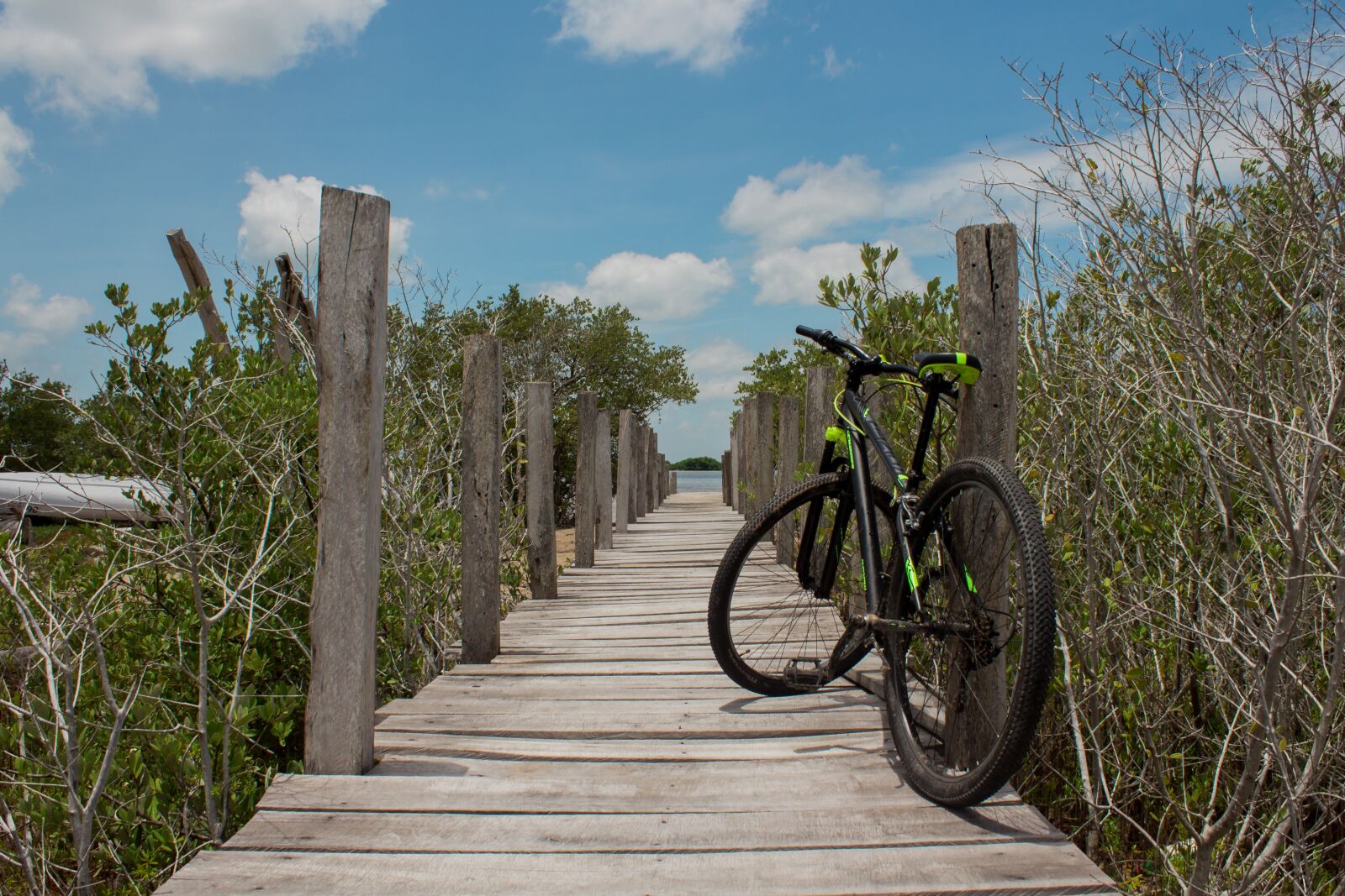 Canon EOS 650D (EOS Rebel T4i / EOS Kiss X6i) sample photo. Nature, bicycle, end photography