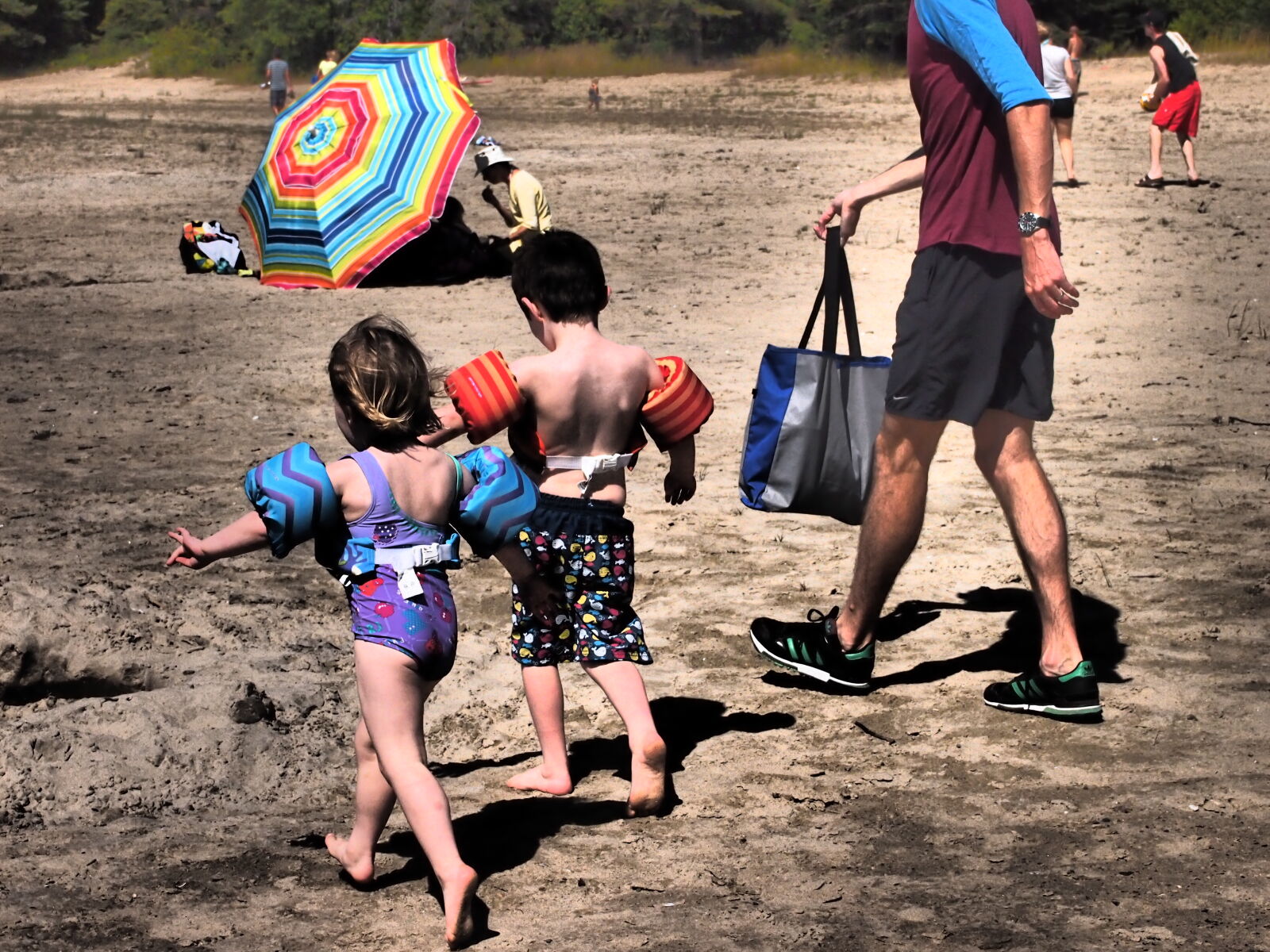 Olympus PEN E-PM1 sample photo. Beach, kids, water, wings photography