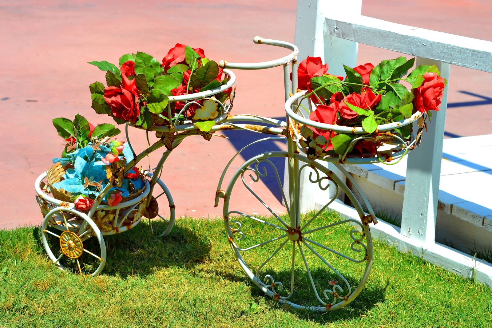 Nikon D3100 sample photo. Garden, landscape, nature photography