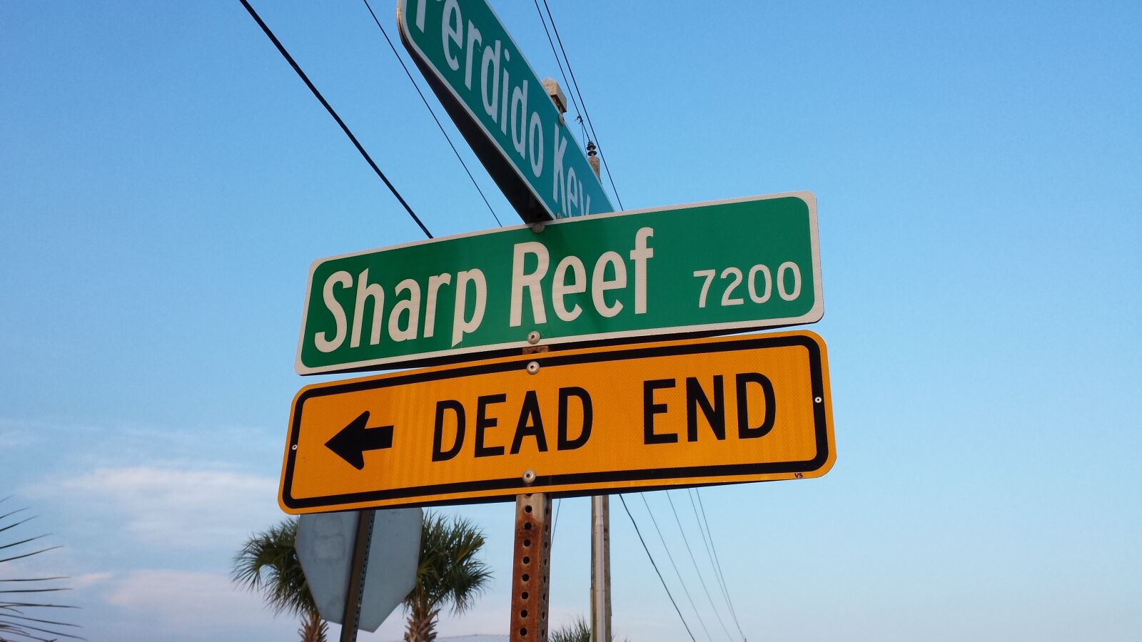 Samsung Galaxy S4 sample photo. Sharp, reef, dead photography