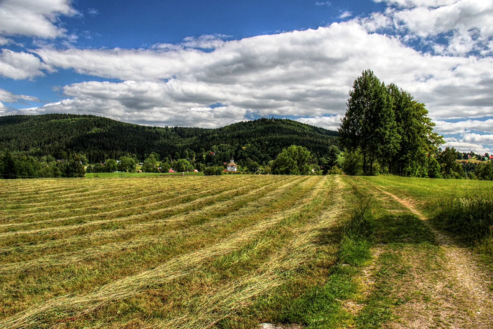 Canon EOS 600D (Rebel EOS T3i / EOS Kiss X5) sample photo. Jizera mountains, czech republic photography