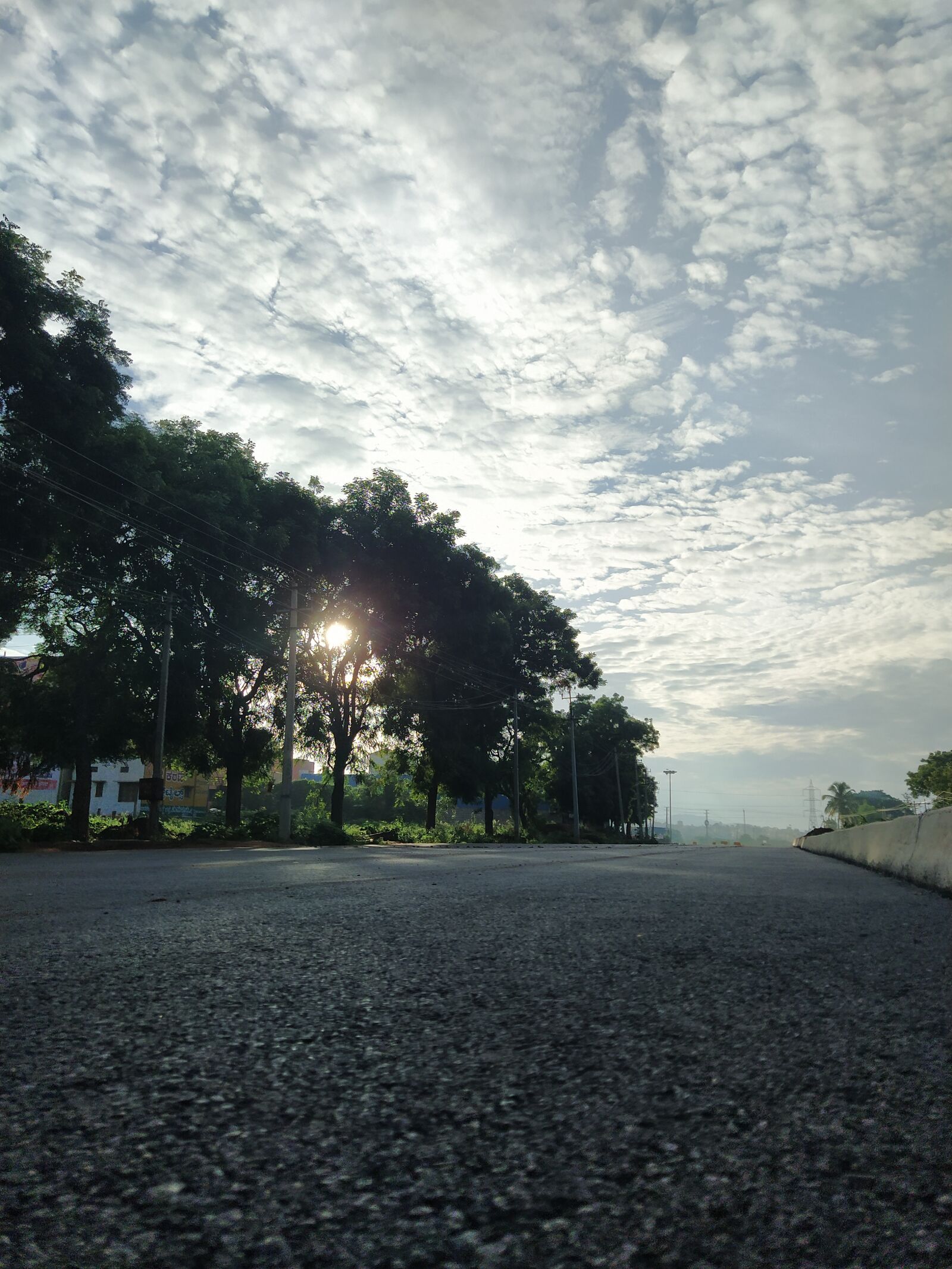 Xiaomi Mi A3 sample photo. Trees, sun from the photography