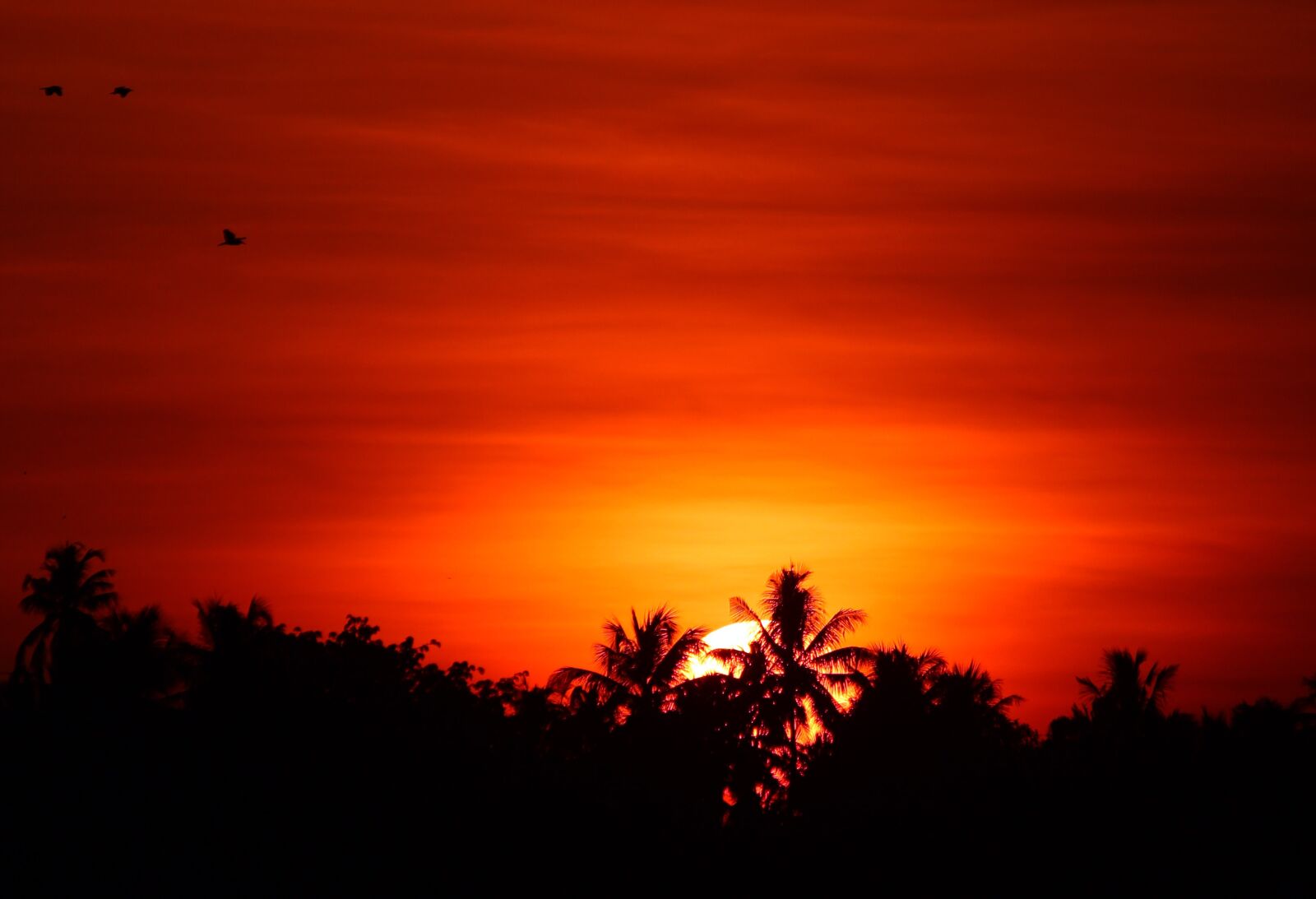 Canon EOS 600D (Rebel EOS T3i / EOS Kiss X5) sample photo. Sunset, dawn, dusk photography