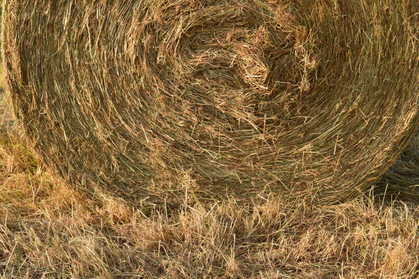 Nikon D3300 sample photo. Hay, hay bales, round photography