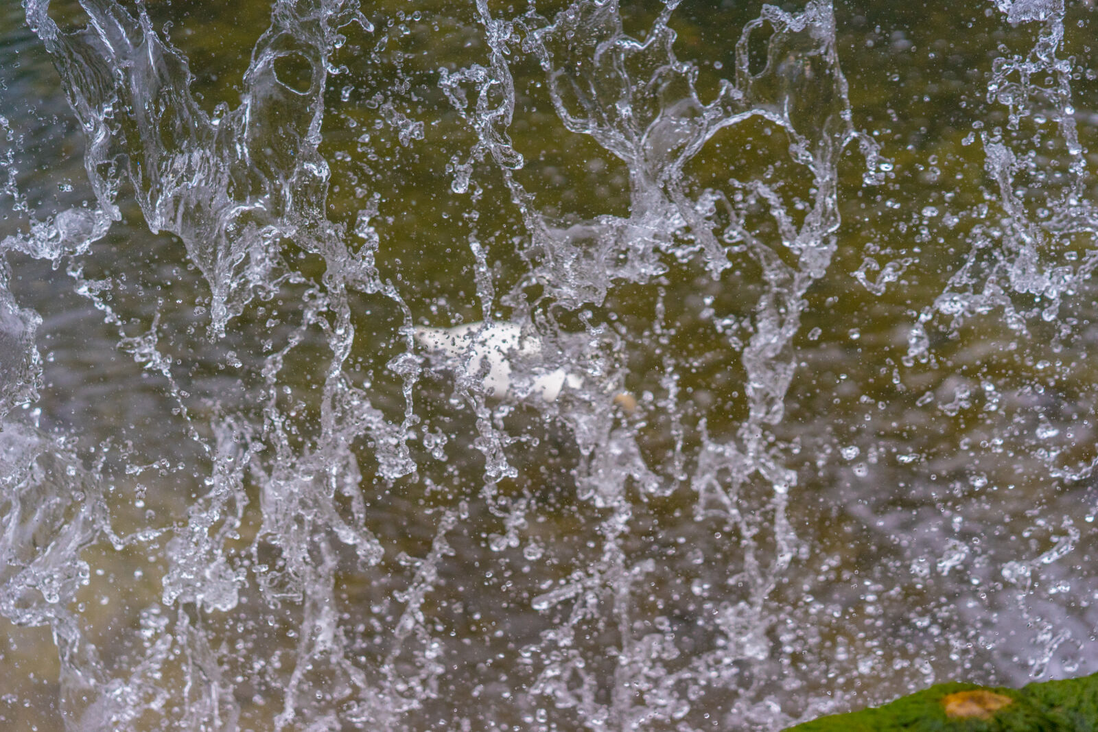 Sony a7 + Sony Sonnar T* FE 55mm F1.8 ZA sample photo. Droplets, freeze, splash, water photography