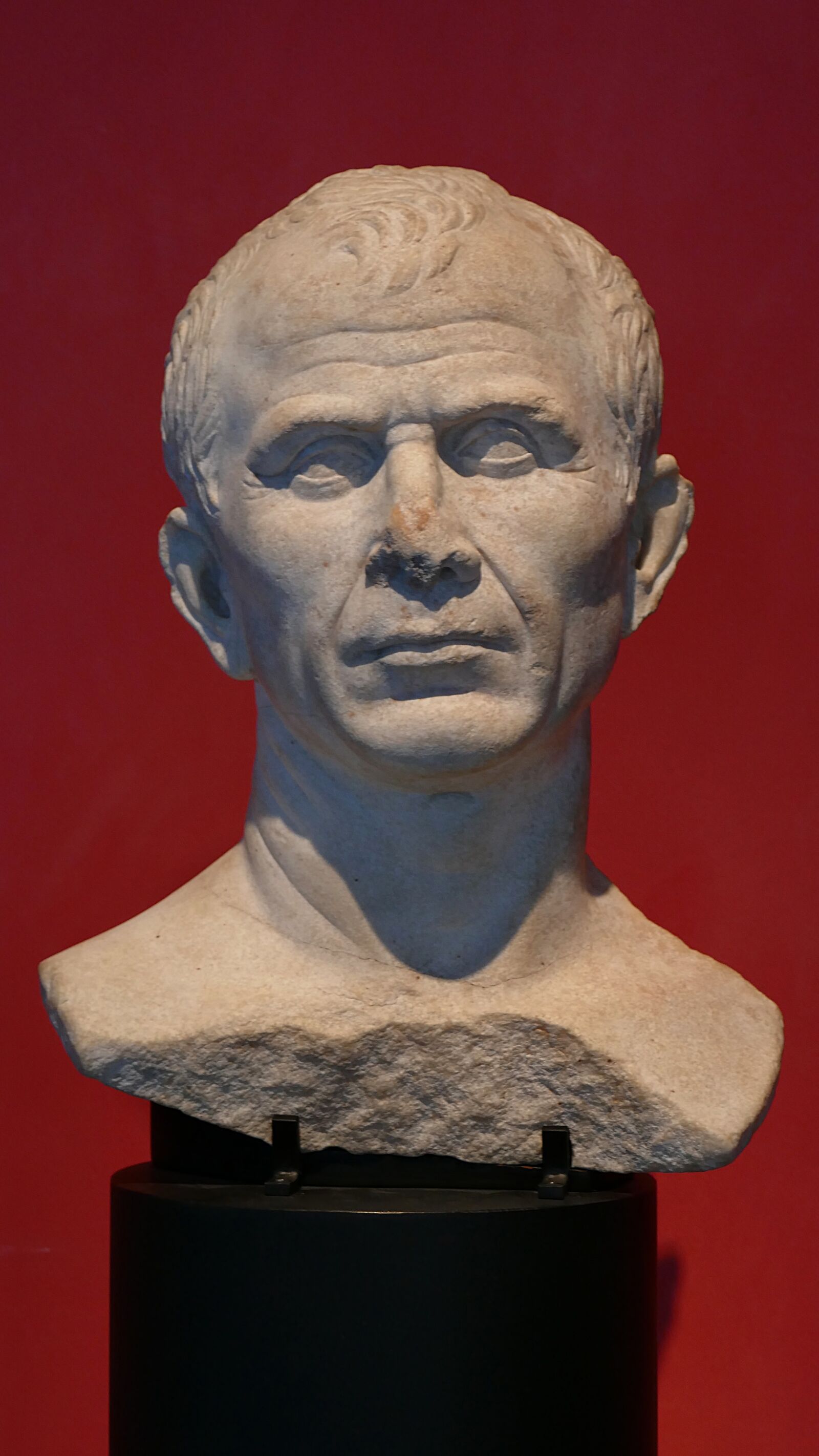 Panasonic Lumix DMC-ZS100 (Lumix DMC-TZ100) sample photo. Julius caesar, roman, general photography