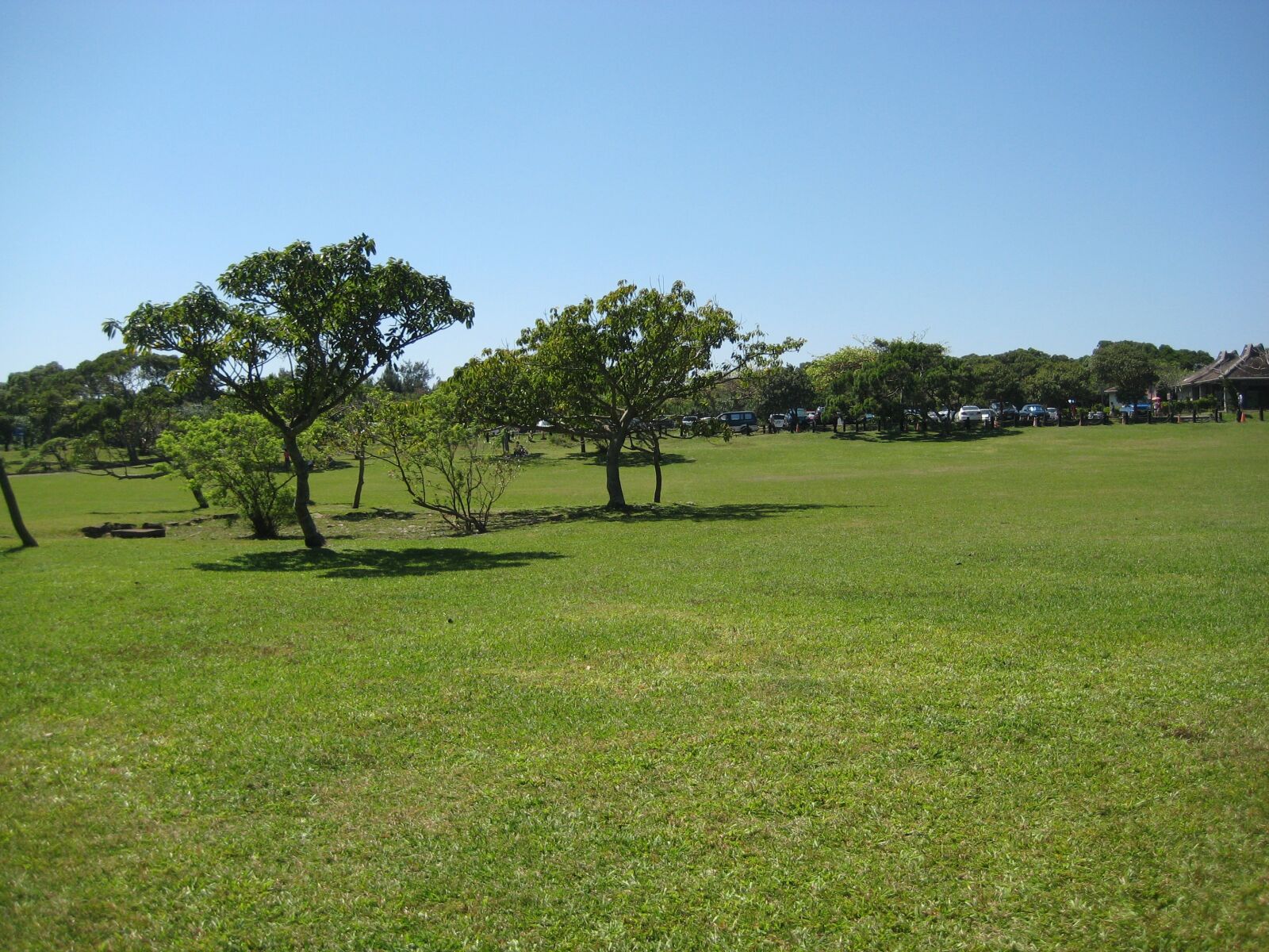 Canon DIGITAL IXUS 75 sample photo. Big, grass, park photography