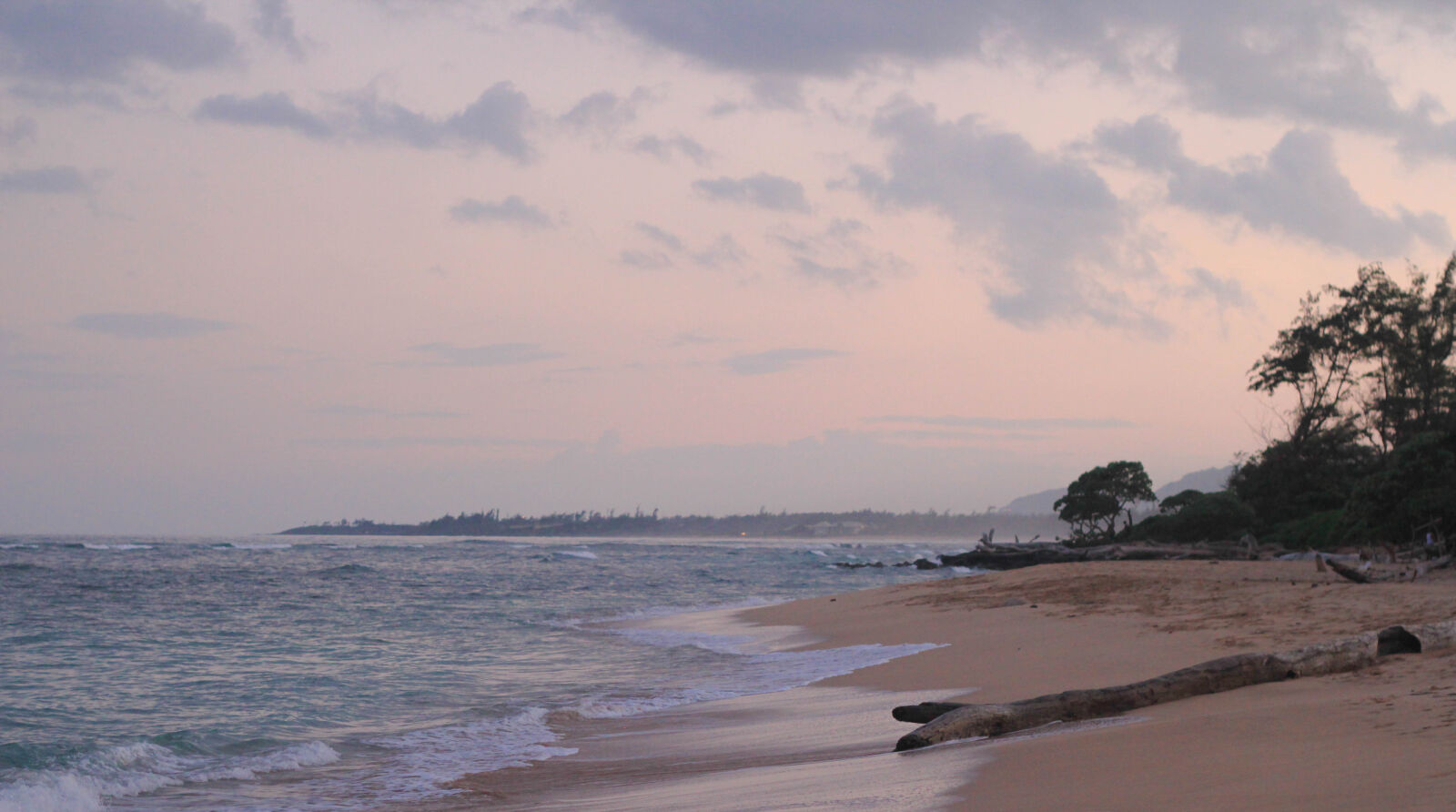 Canon EOS 550D (EOS Rebel T2i / EOS Kiss X4) sample photo. Beach, clouds, dawn, driftwood photography