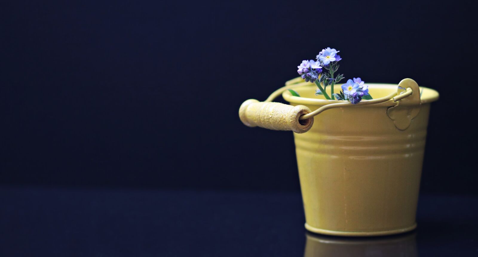 Canon EOS 80D sample photo. Bucket, forget me not photography