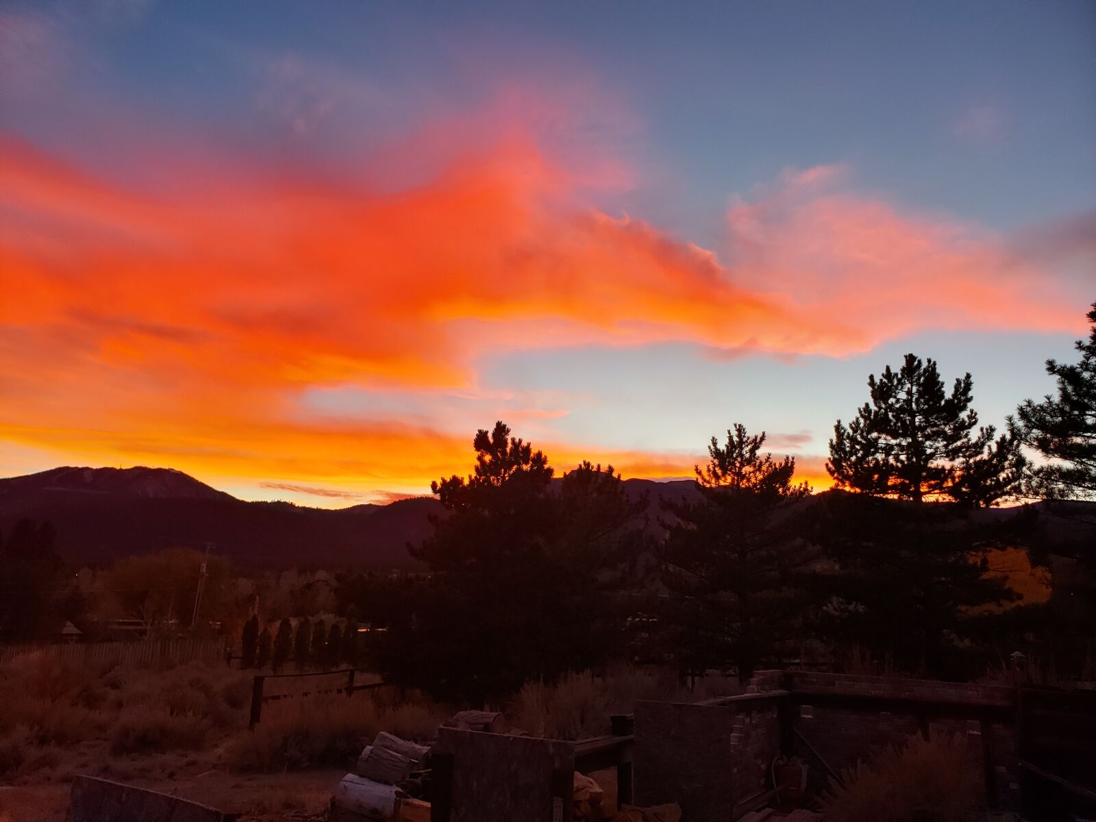 Samsung Galaxy Note9 sample photo. Mt, rose, mountain photography