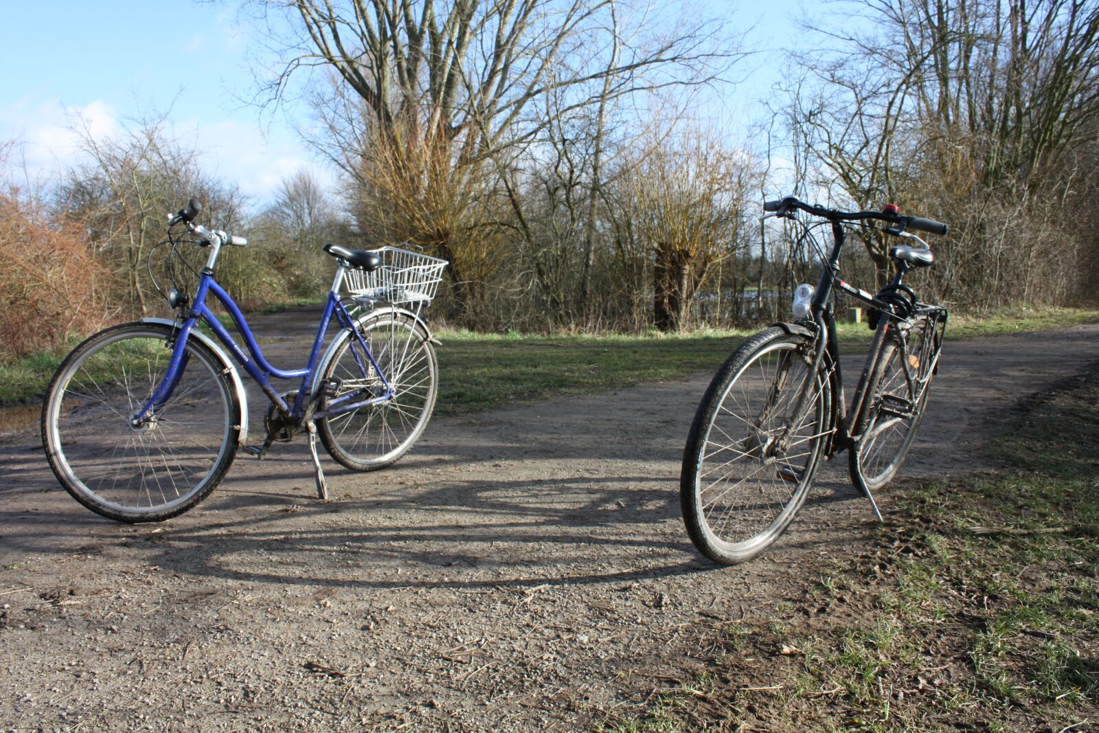 Canon EOS 450D (EOS Rebel XSi / EOS Kiss X2) sample photo. Bike, drive, outdoor photography