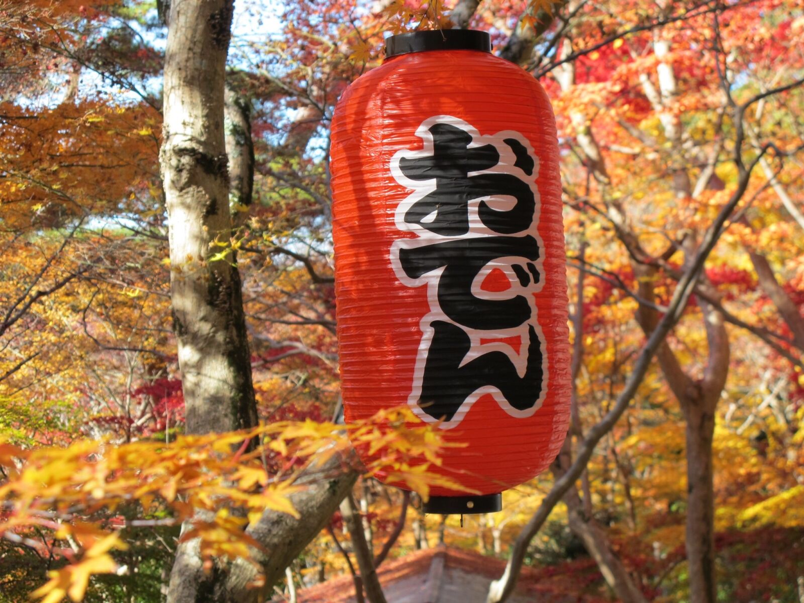 Canon PowerShot G11 sample photo. Paper lantern, oden, autumnal photography