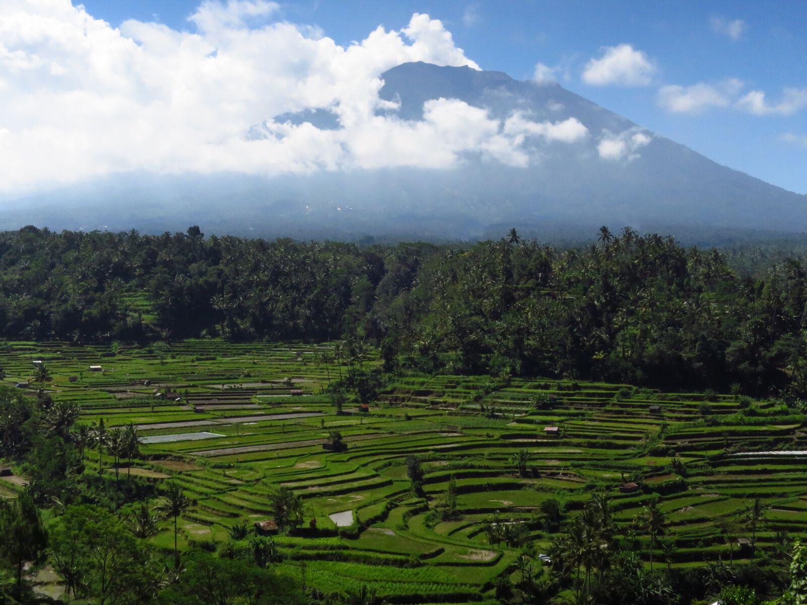 Canon PowerShot S120 sample photo. Bali, volcano, rice fields photography