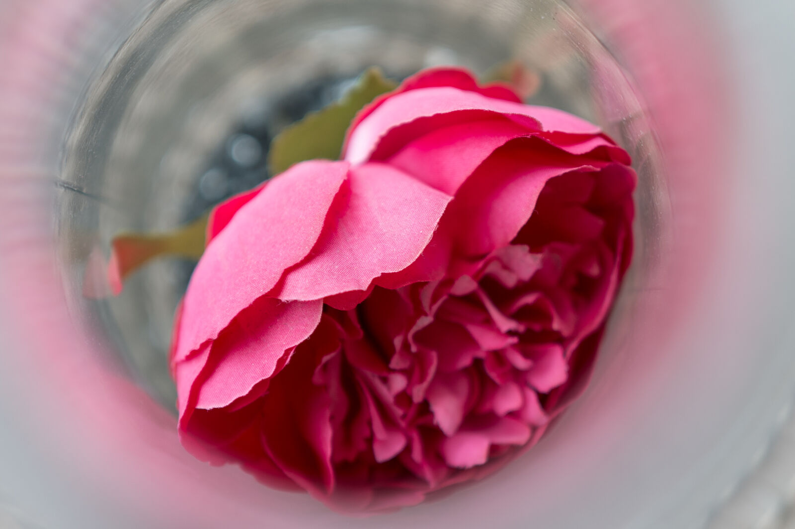 SUMMILUX 1:1.7/28 ASPH. sample photo. Flower faux bokeh photography