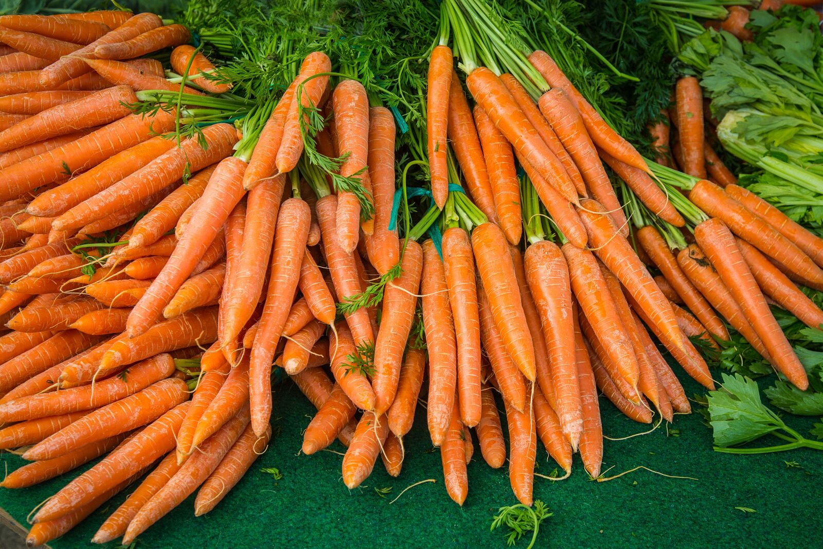 Canon EF 24-105mm F4L IS USM sample photo. Carrot, turnip, vegetables photography