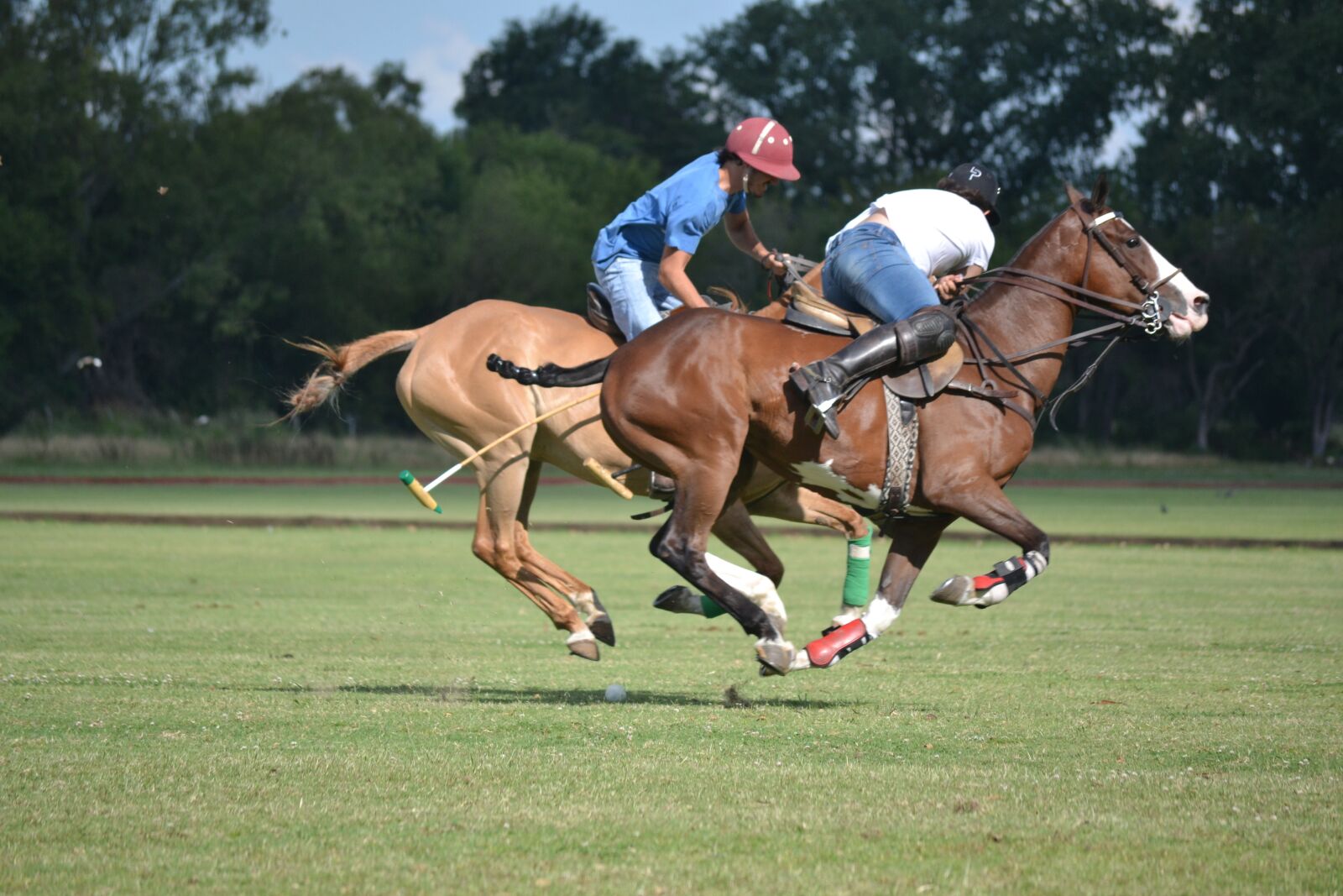 Nikon D3100 sample photo. Sports, polo, club san photography
