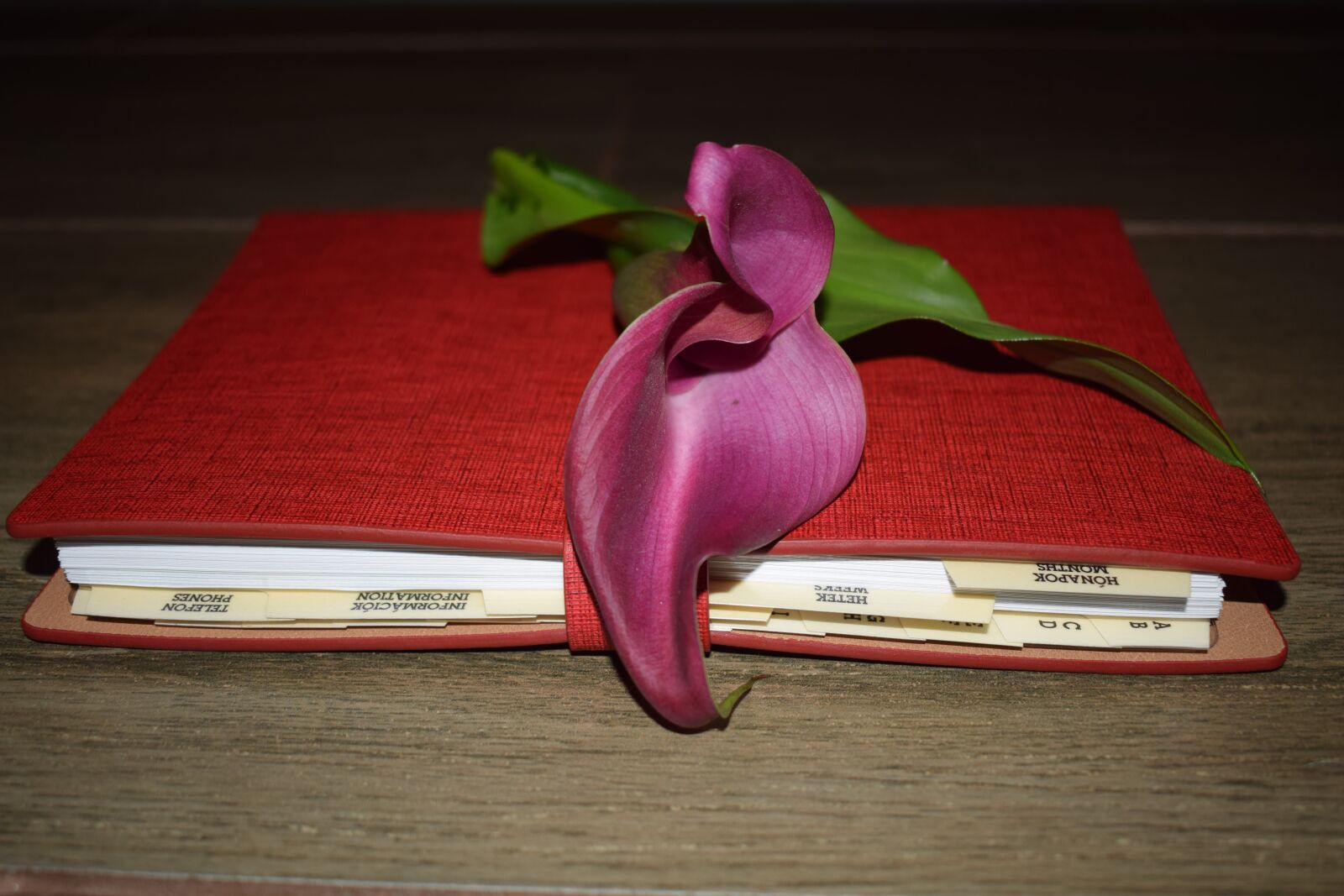 Nikon D5300 sample photo. Inflorescence, decoration, purple photography