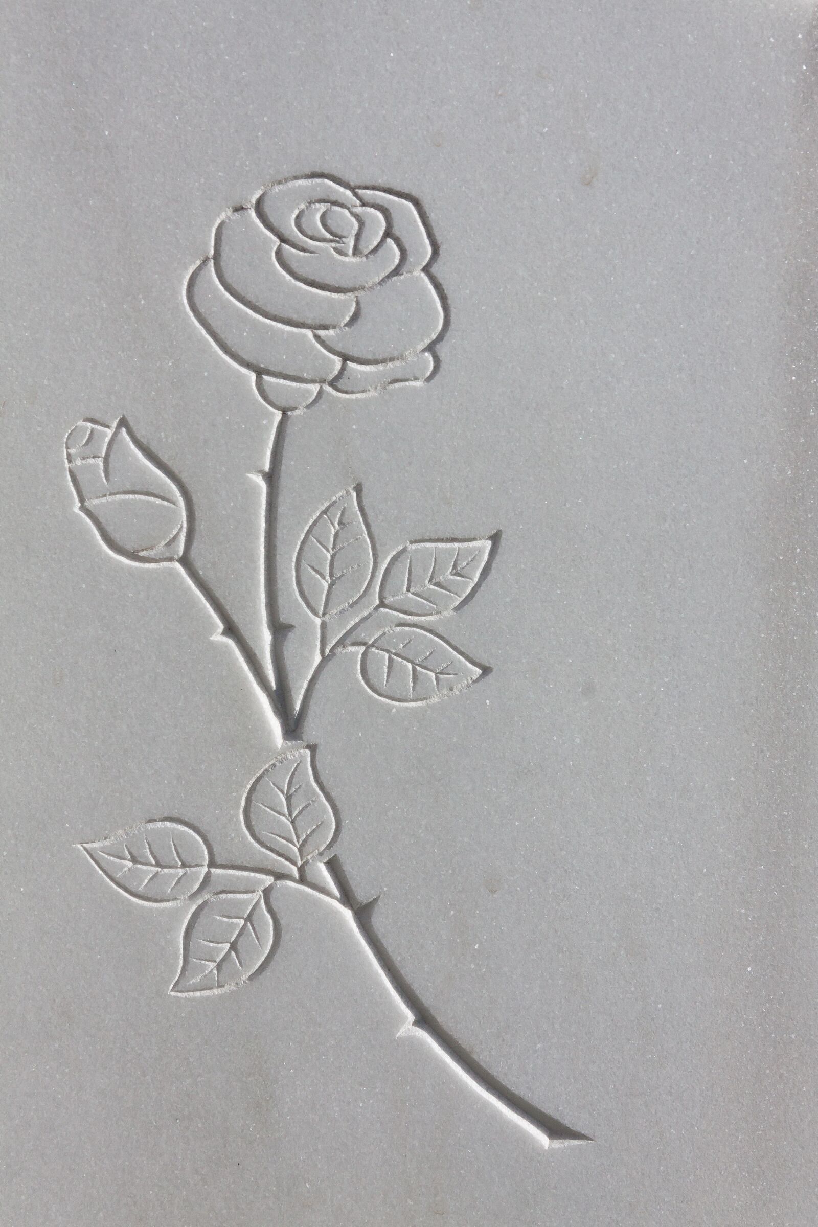 Canon EF-S 17-85mm F4-5.6 IS USM sample photo. Rose, thorns, rock carving photography