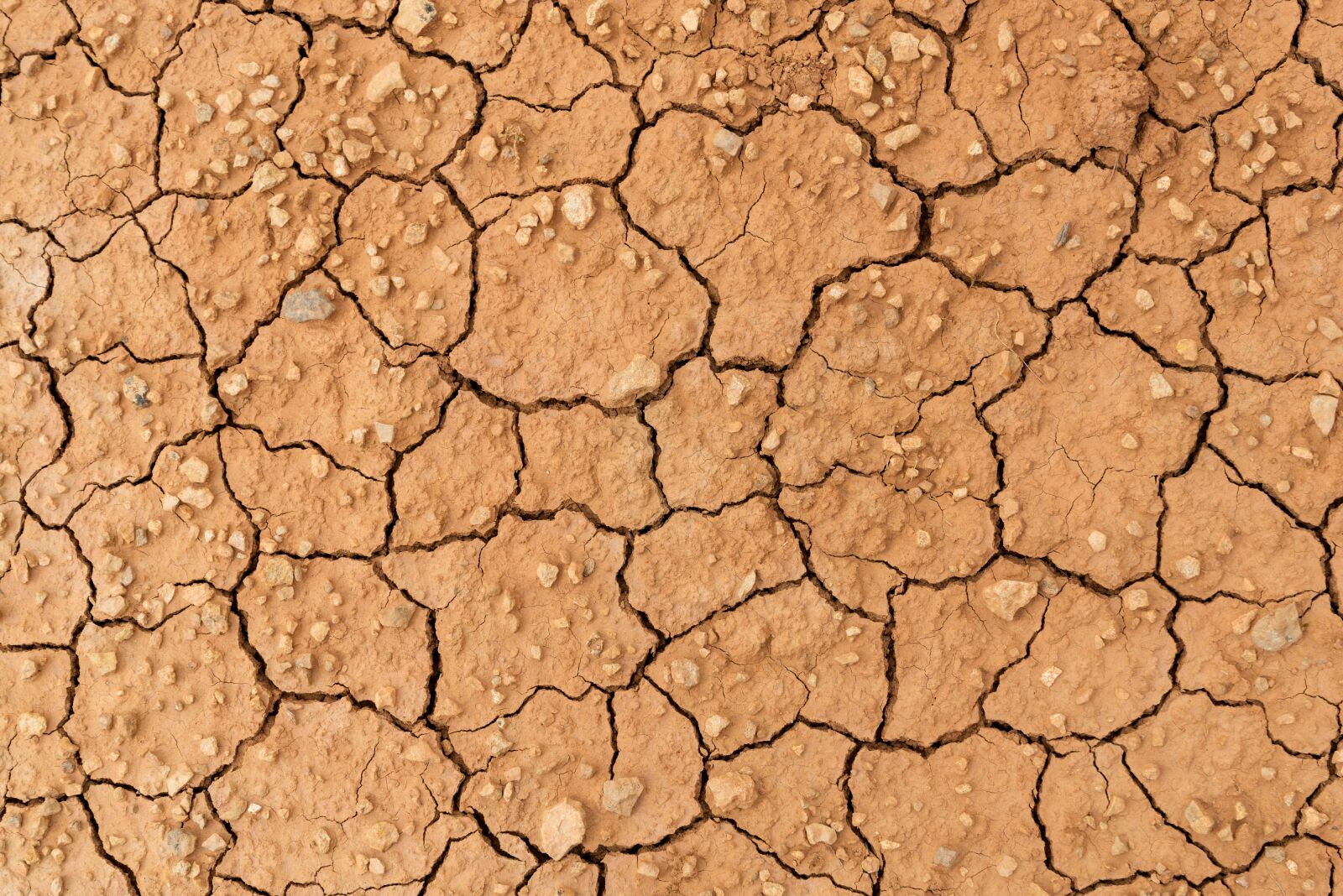Nikon D610 sample photo. Soil, cracks, clay photography