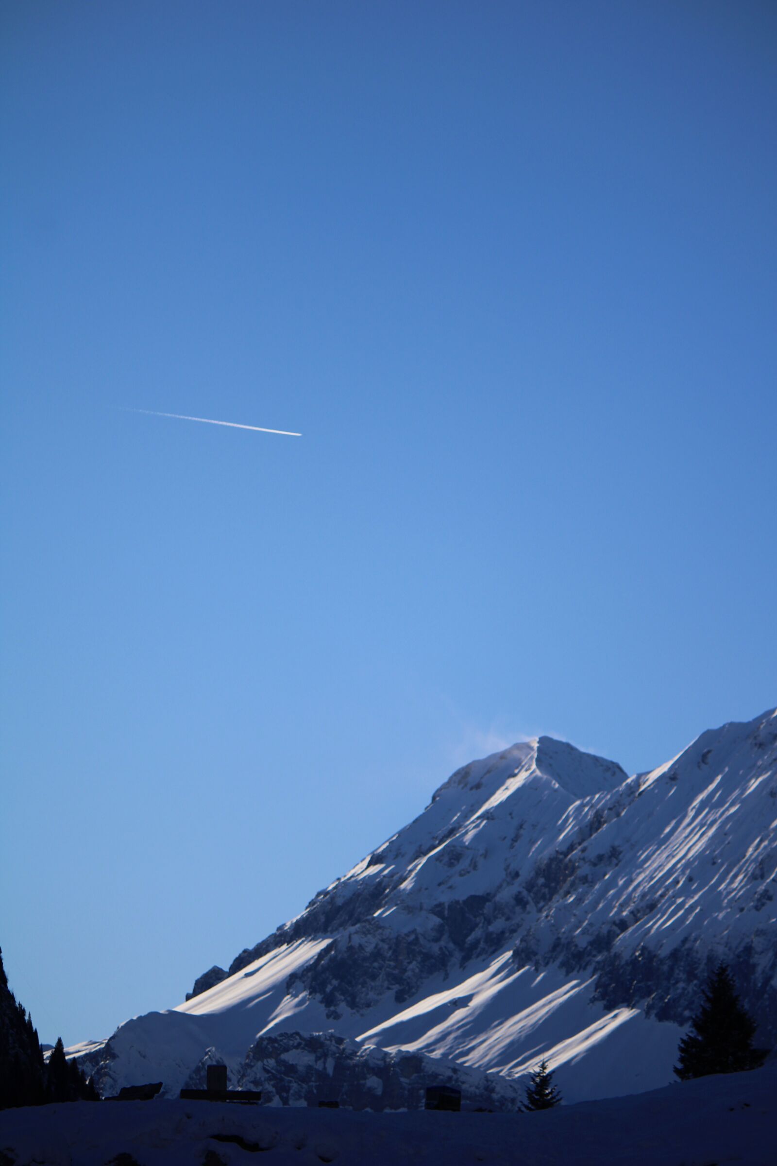 Canon EF-S 55-250mm F4-5.6 IS sample photo