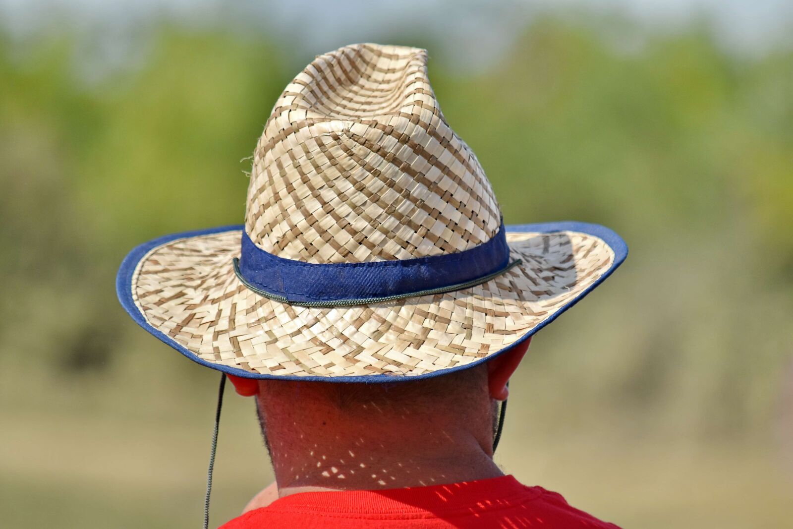 Nikon D5500 sample photo. Hat, heat, straw, summer photography