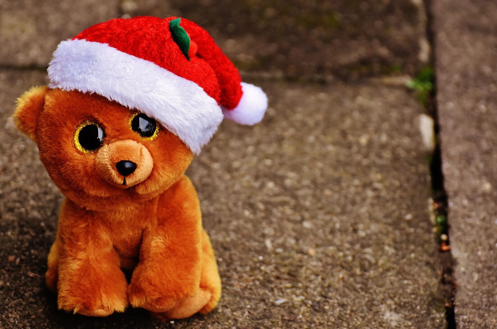 Nikon D7200 sample photo. Christmas, teddy, bear photography