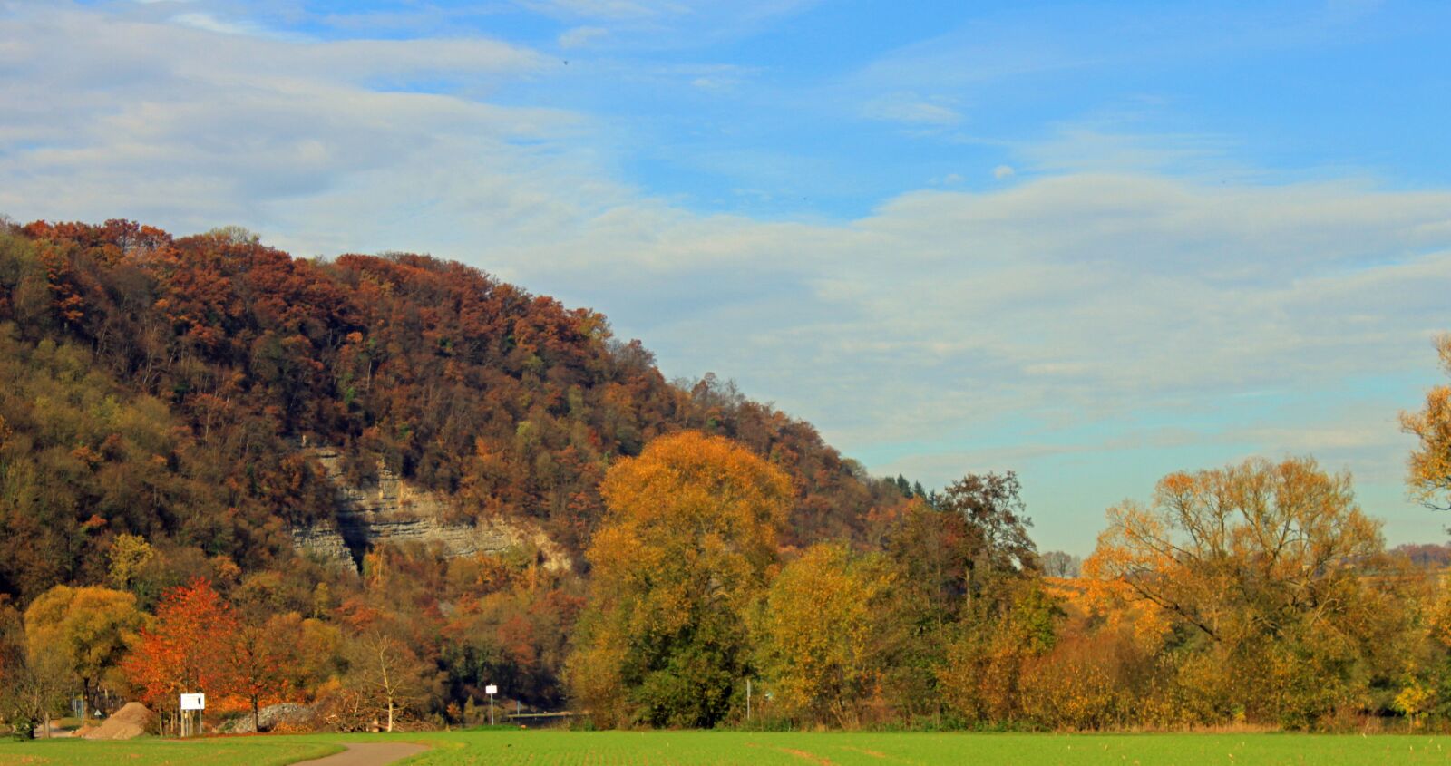 Canon EOS 500D (EOS Rebel T1i / EOS Kiss X3) sample photo. Autumn, leaves, forest photography