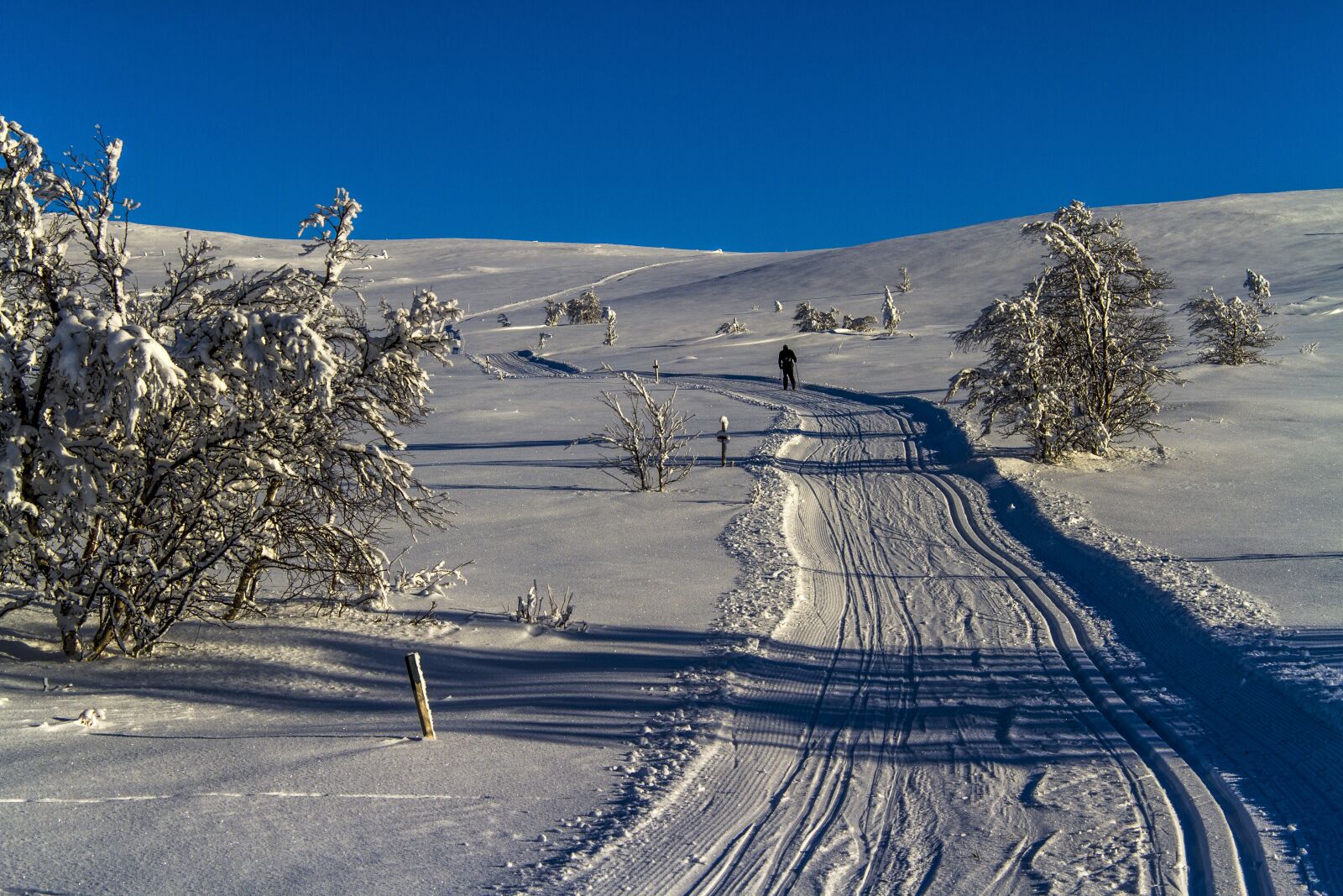 Canon EF-S 17-85mm F4-5.6 IS USM sample photo. Winter, snow, cold photography