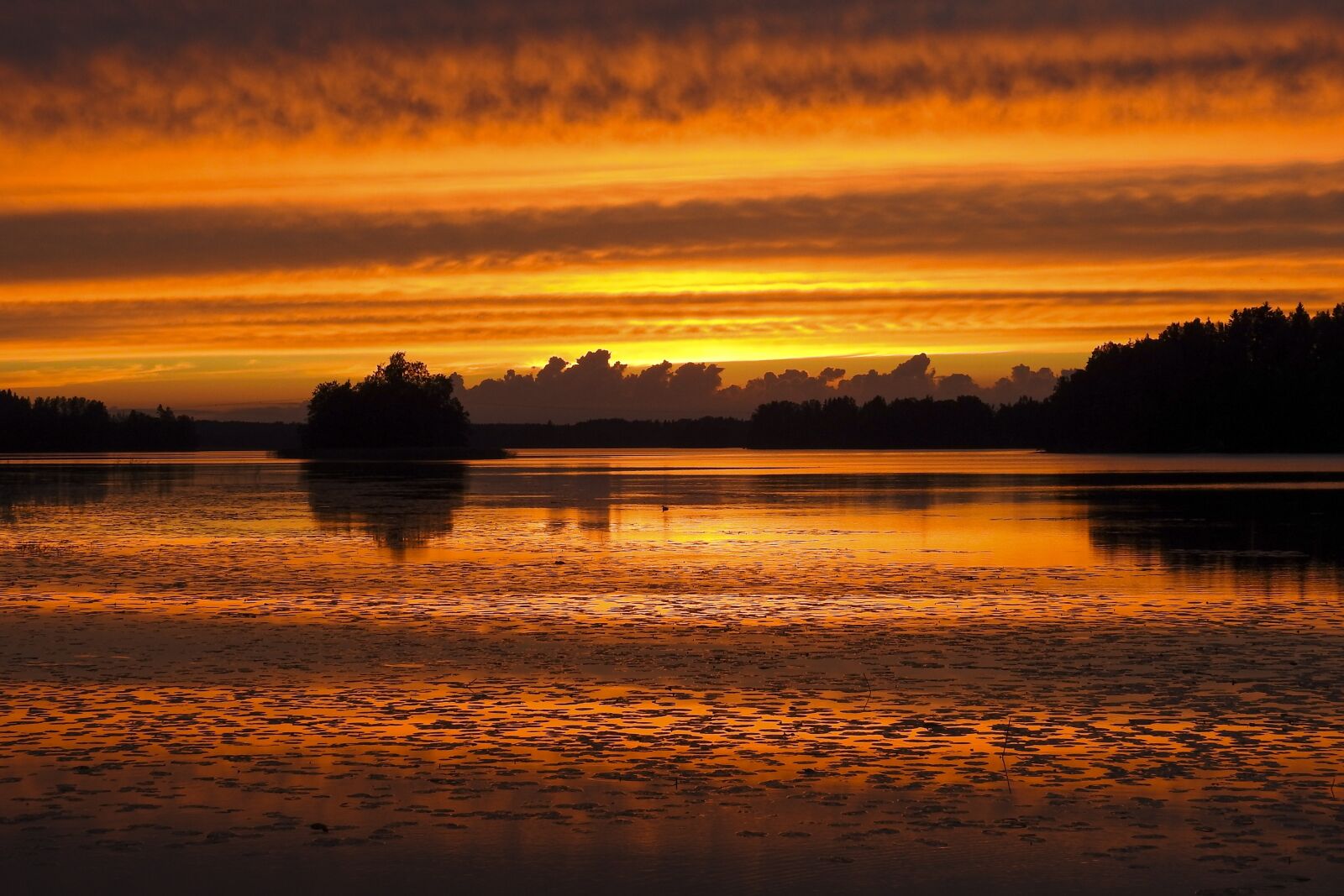 Nikon Coolpix P900 sample photo. Sunset, nature, finland photography